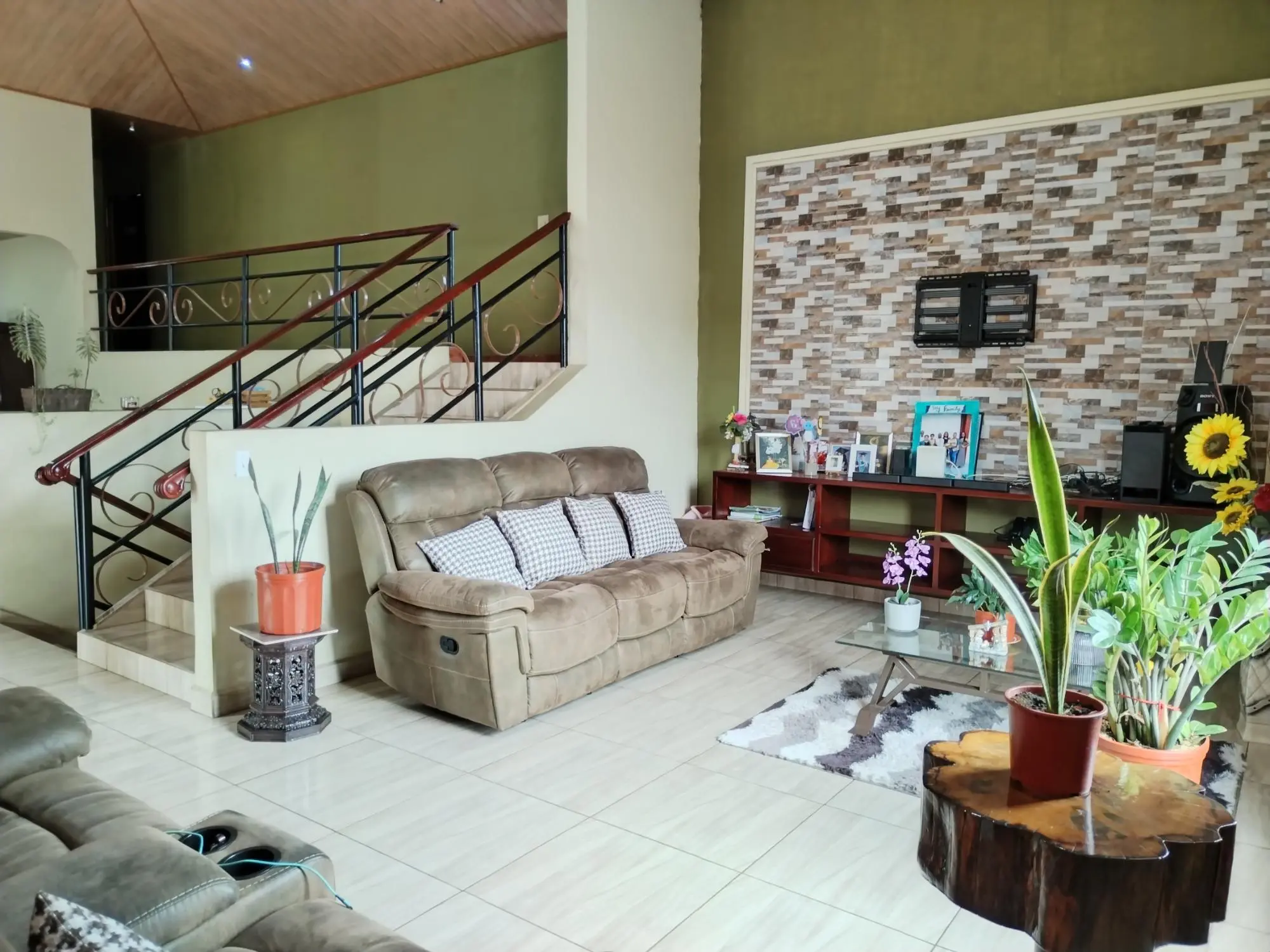 David Chiriqui - Photo 38