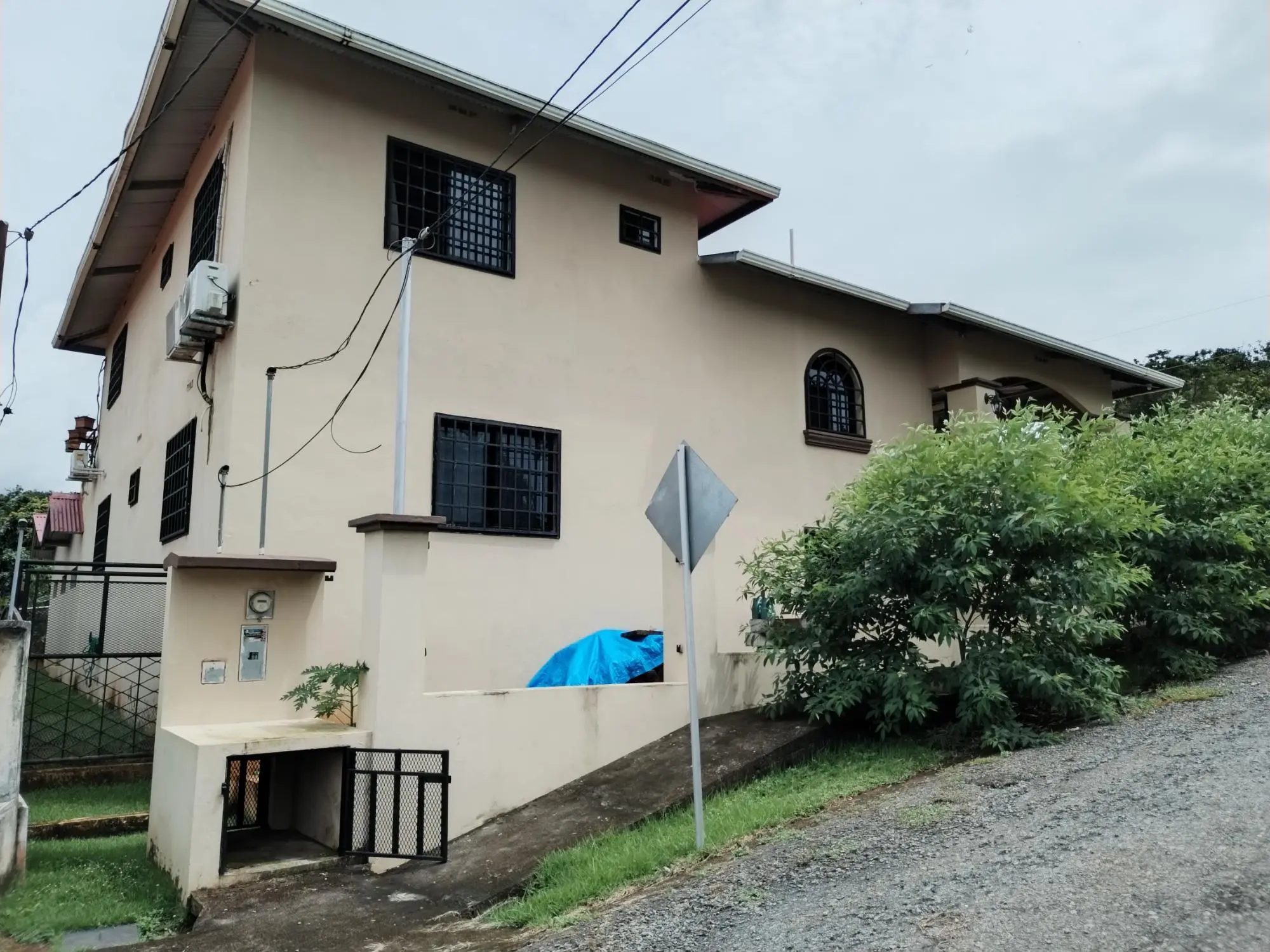 David Chiriqui - Photo 20