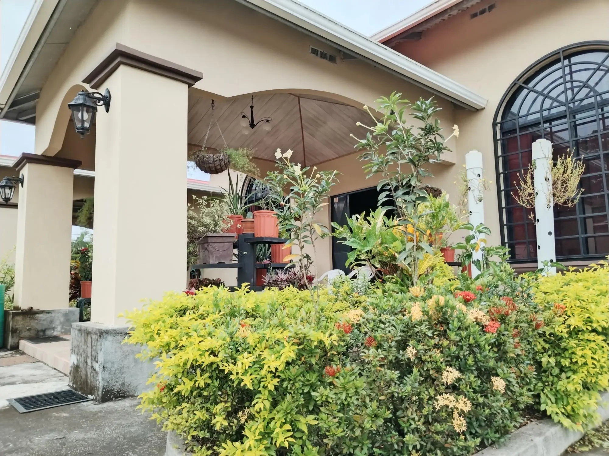 David Chiriqui - Photo 27