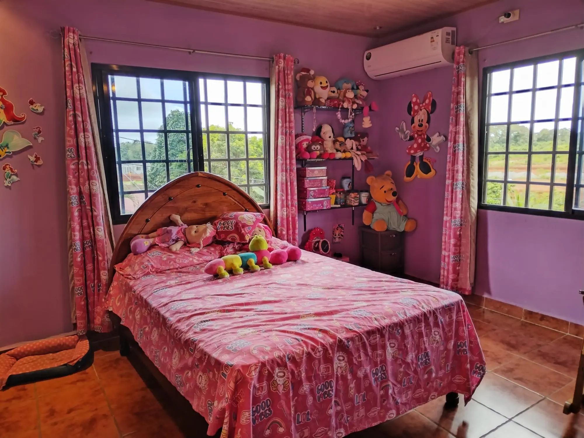 David Chiriqui - Photo 90