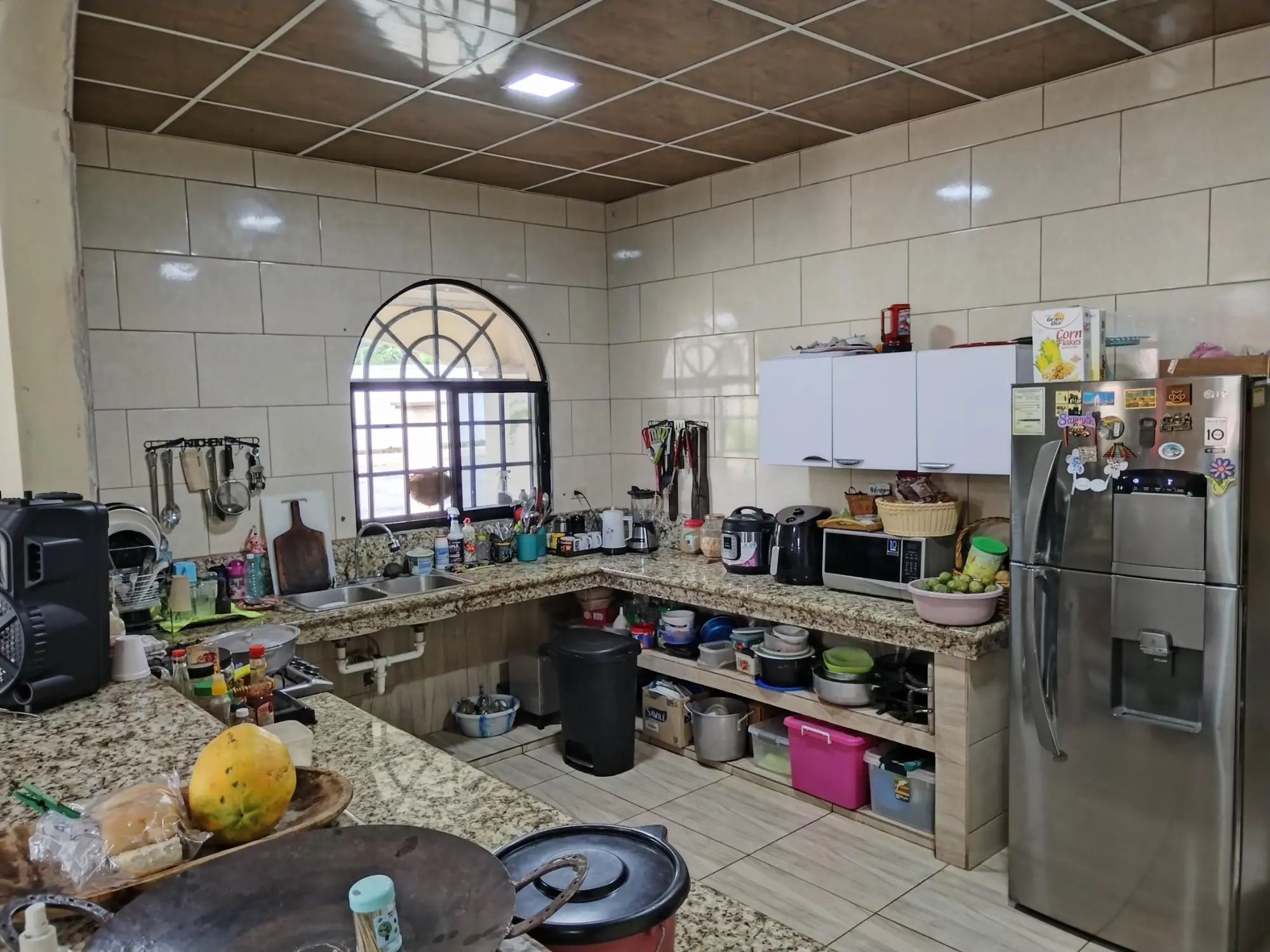 David Chiriqui - Photo 46