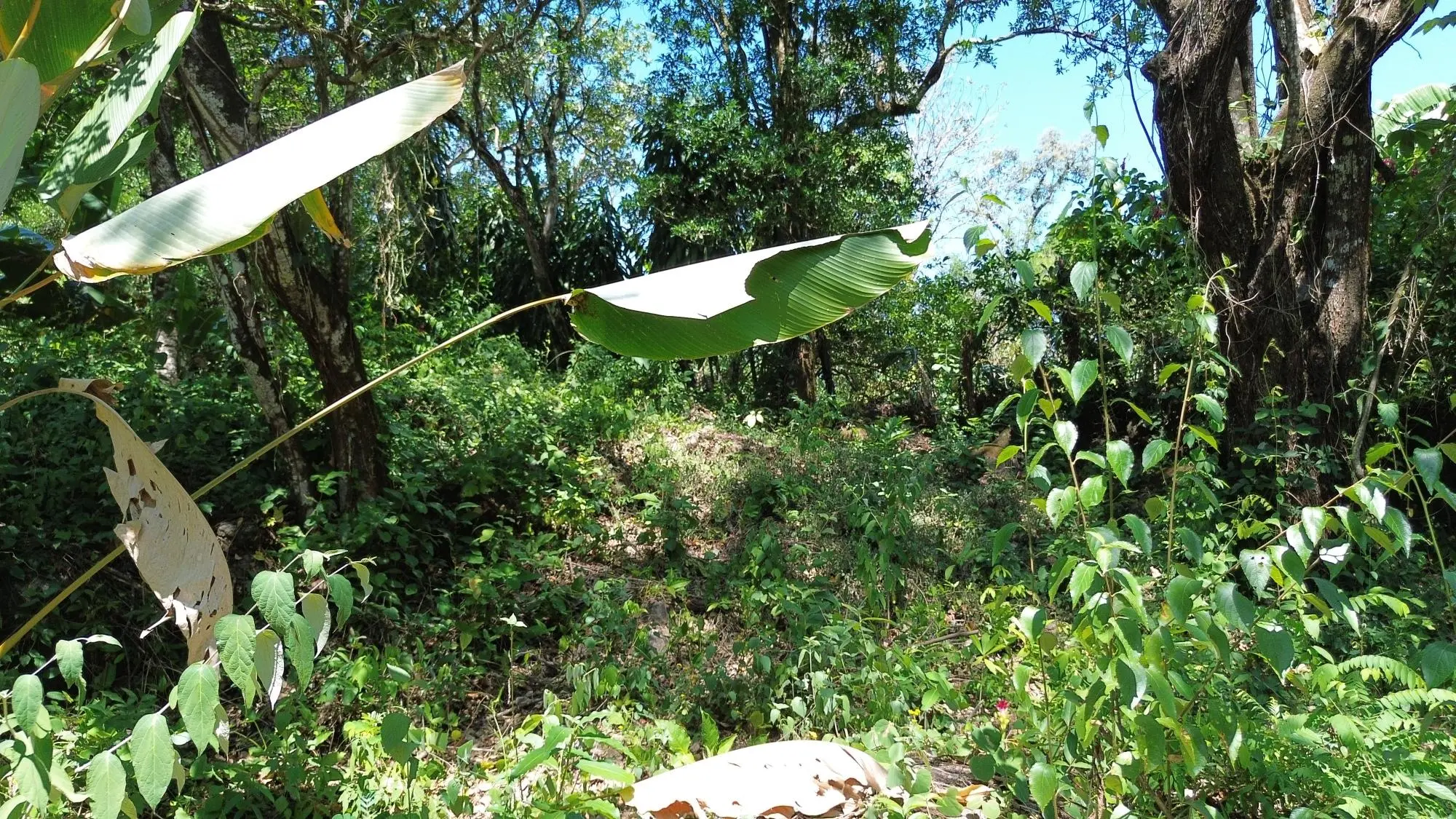 Caldera Chiriqui - Photo 22