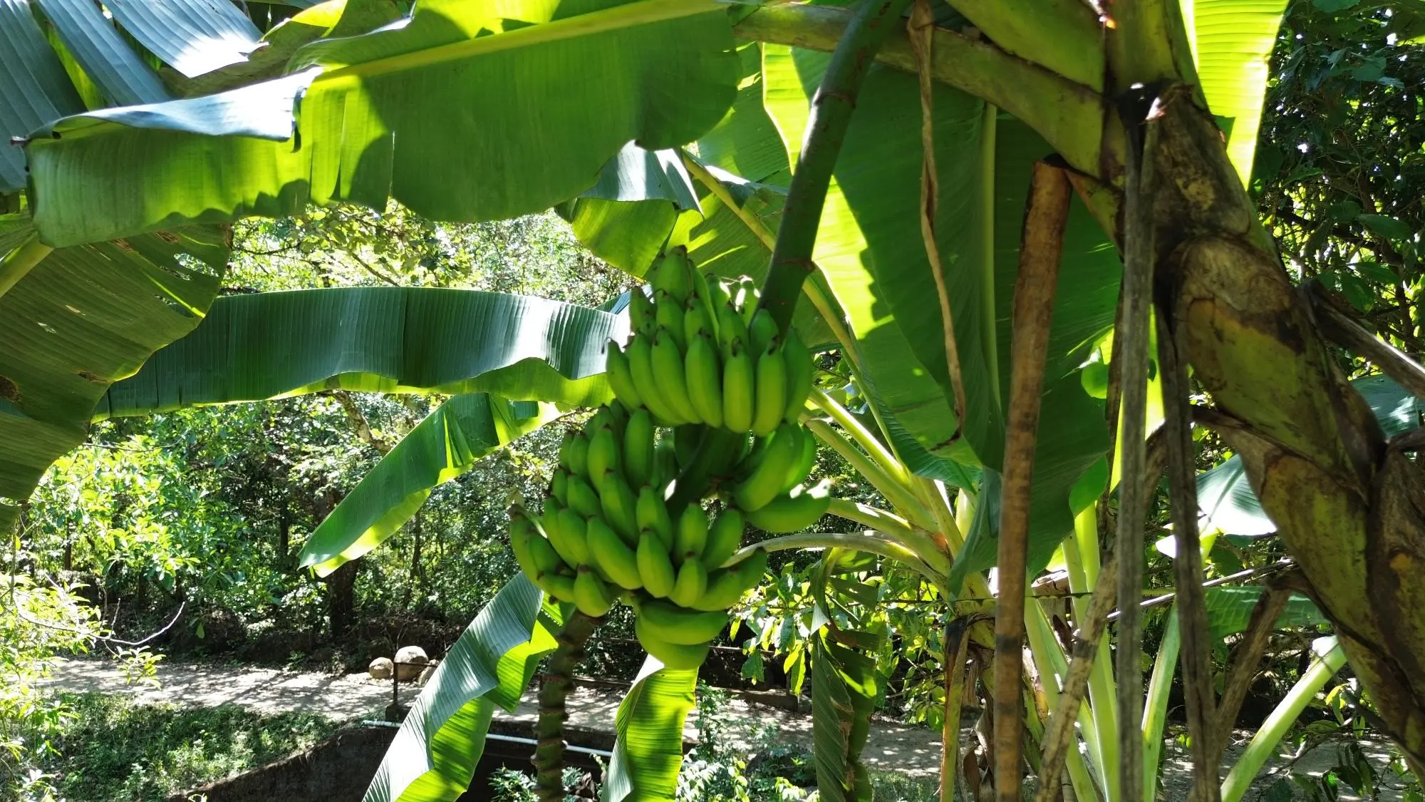 Caldera Chiriqui - Photo 41