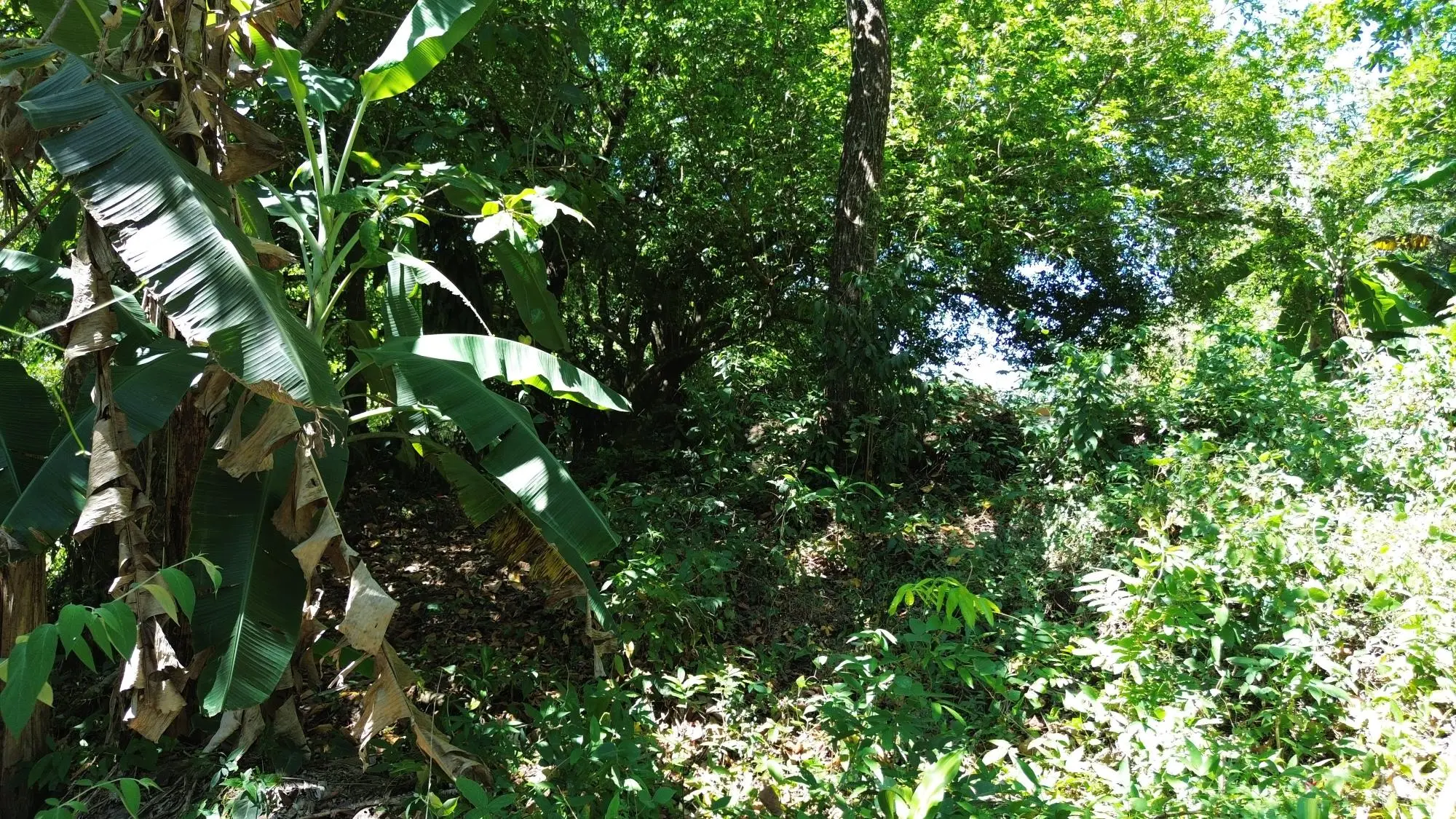 Caldera Chiriqui - Photo 28