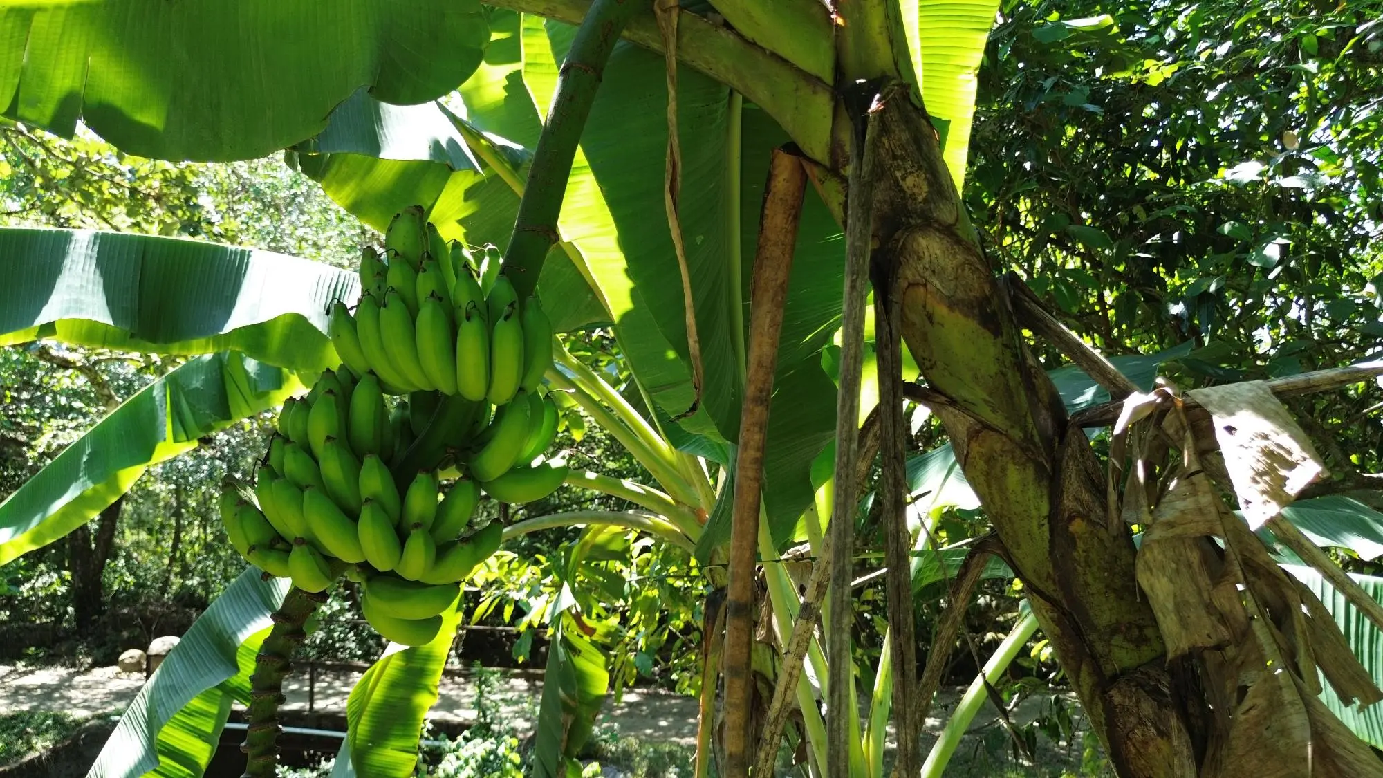 Caldera Chiriqui - Photo 38