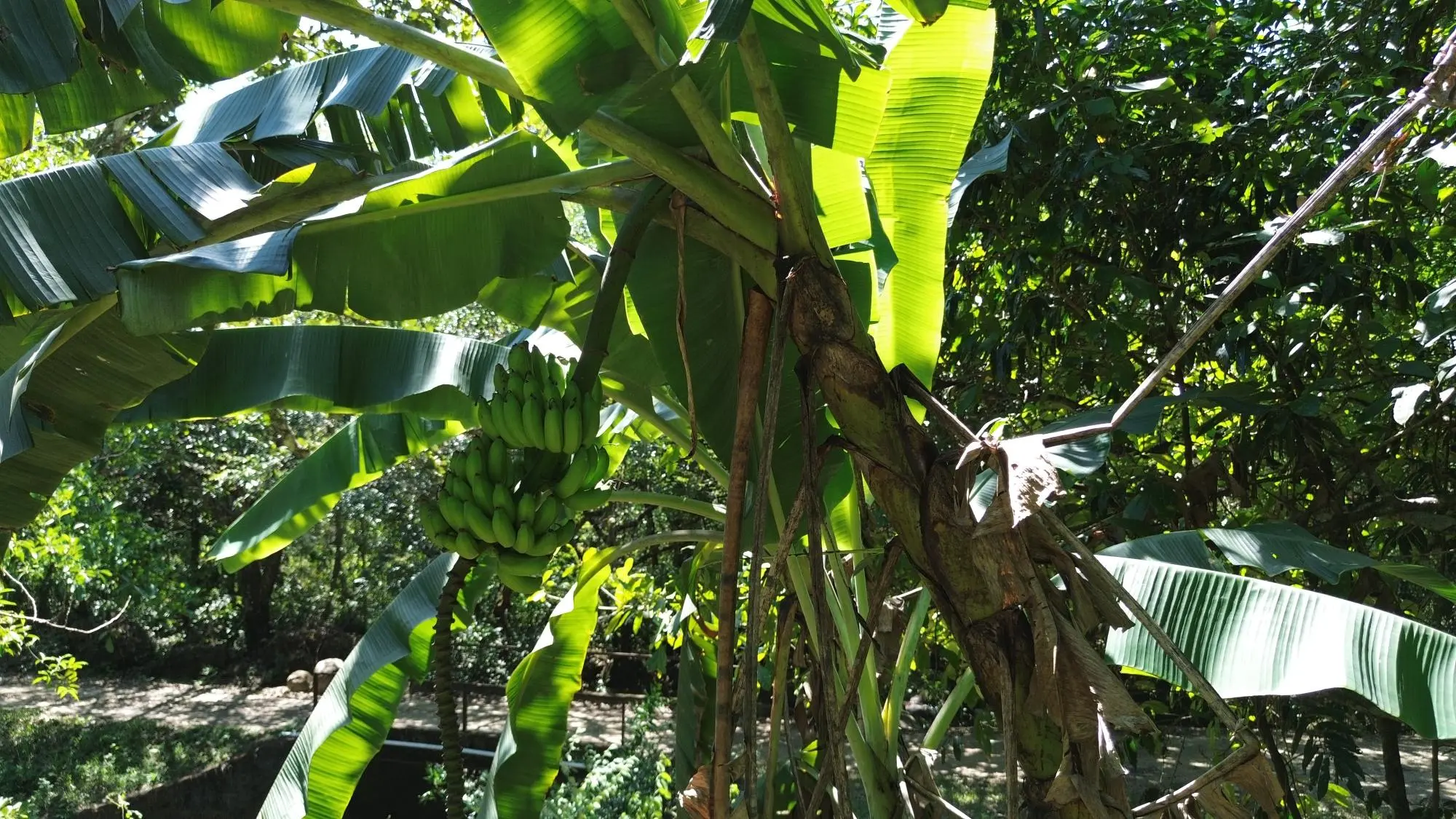 Caldera Chiriqui - Photo 45