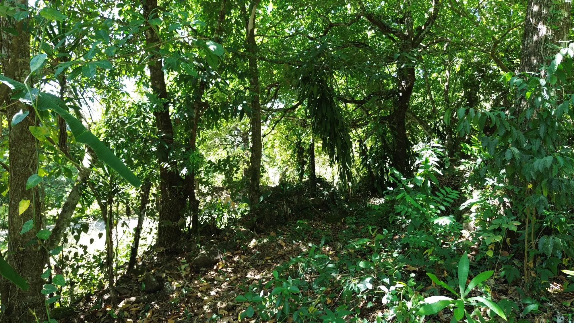 Caldera Chiriqui - Photo 48