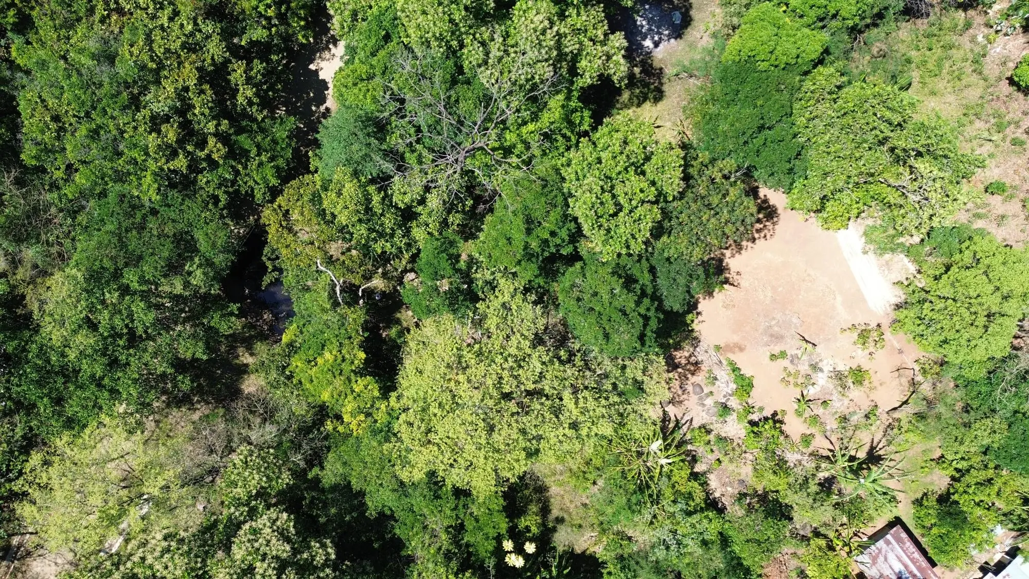 Caldera Chiriqui - Photo 76