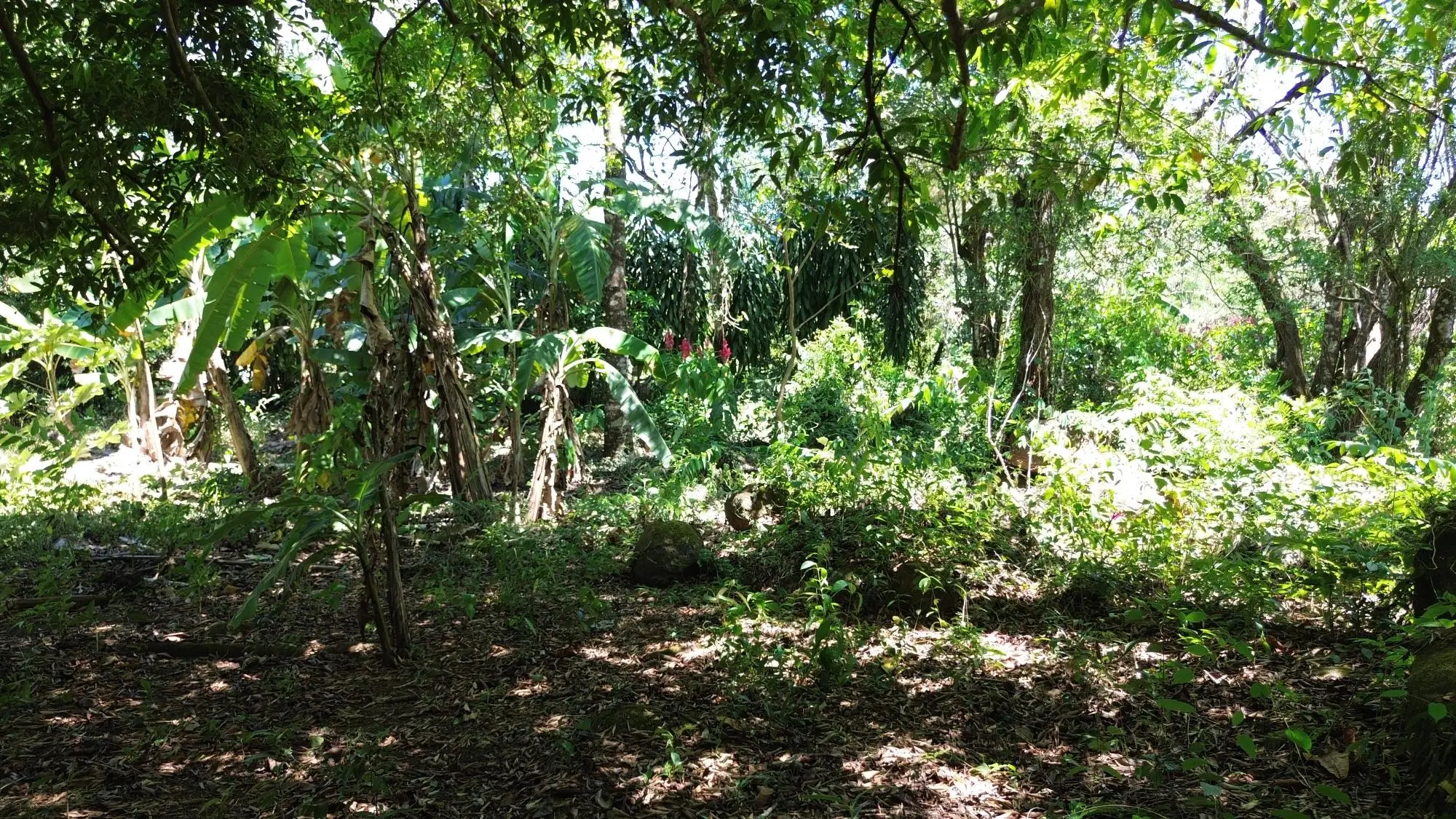 Caldera Chiriqui - Photo 84