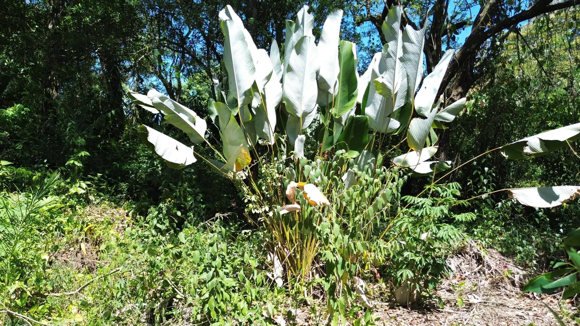 Caldera Chiriqui - Photo 36
