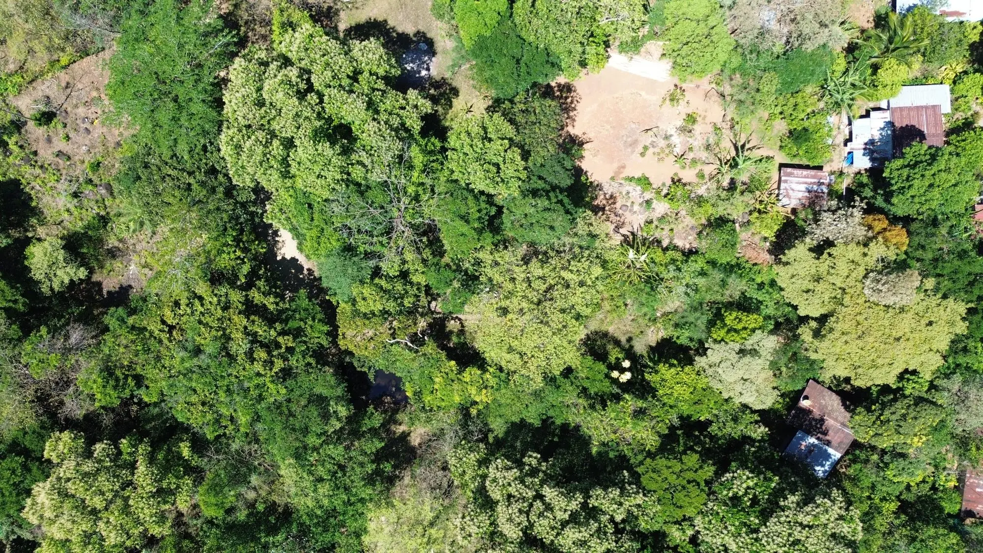 Caldera Chiriqui - Photo 58