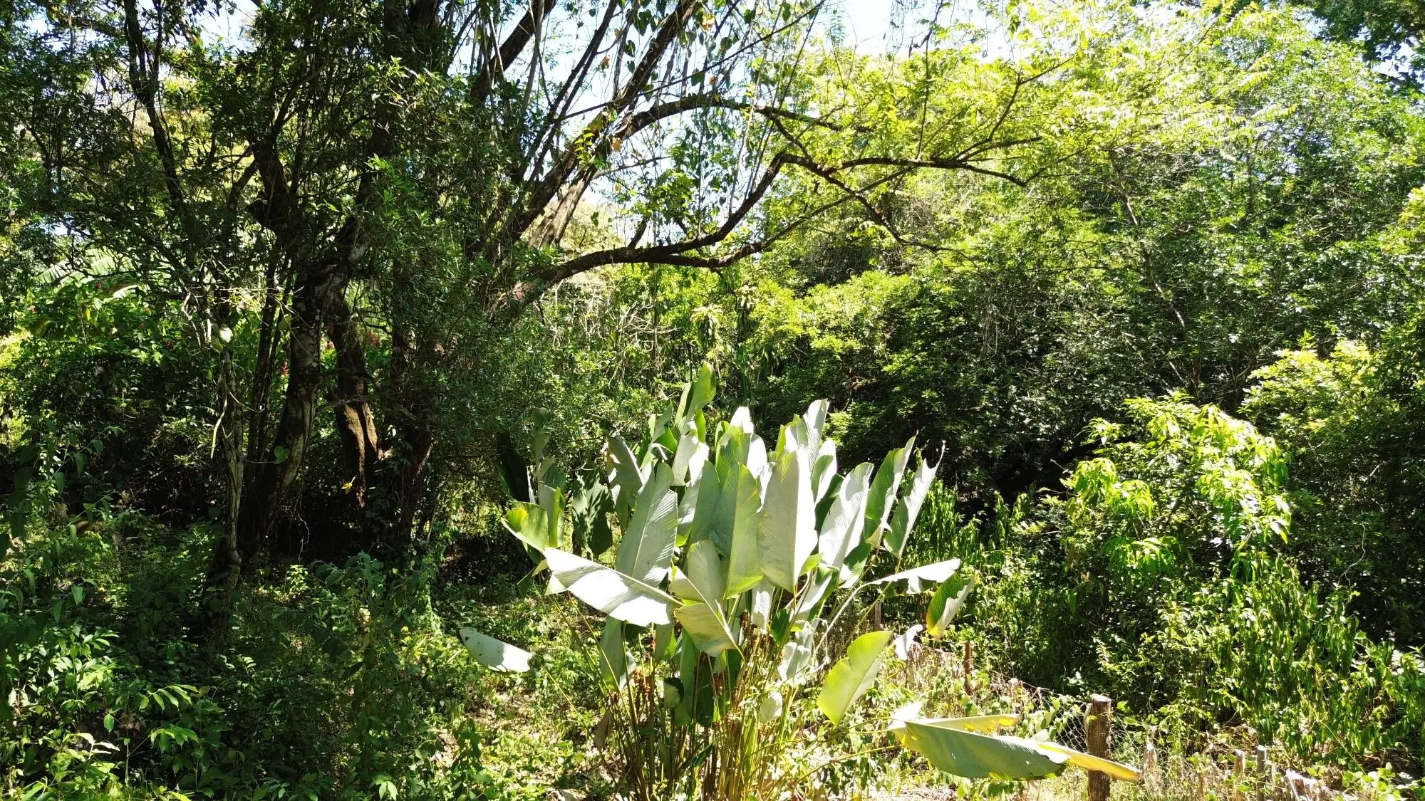 Caldera Chiriqui - Photo 54
