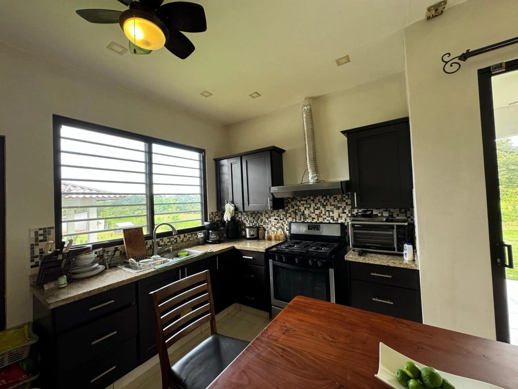 David Chiriqui Panama - Photo 78