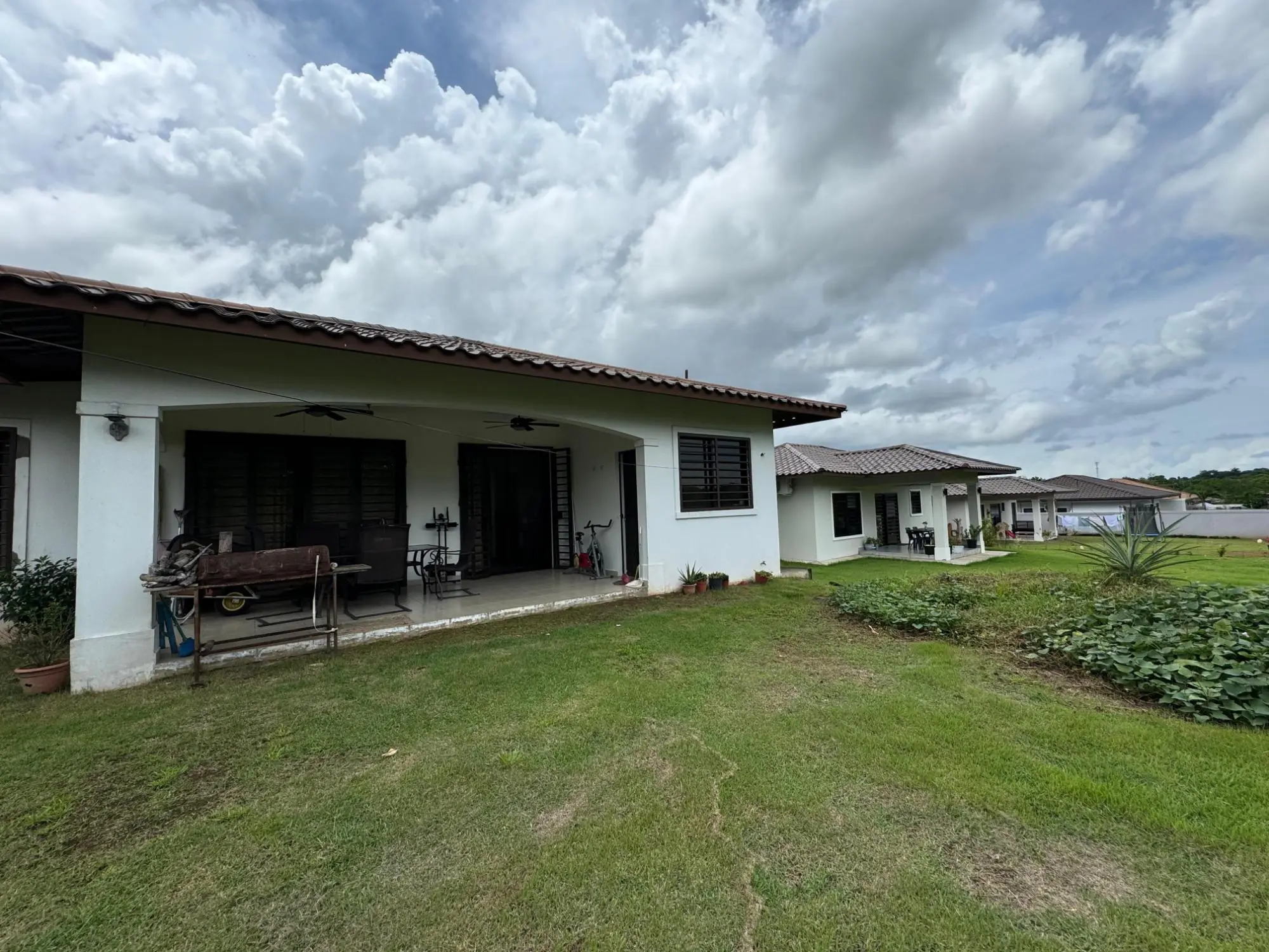 David Chiriqui Panama - Photo 108