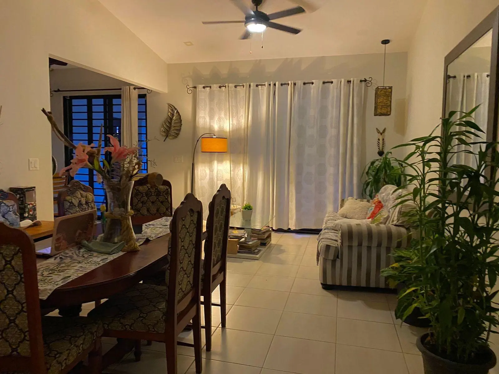 David Chiriqui Panama - Photo 20