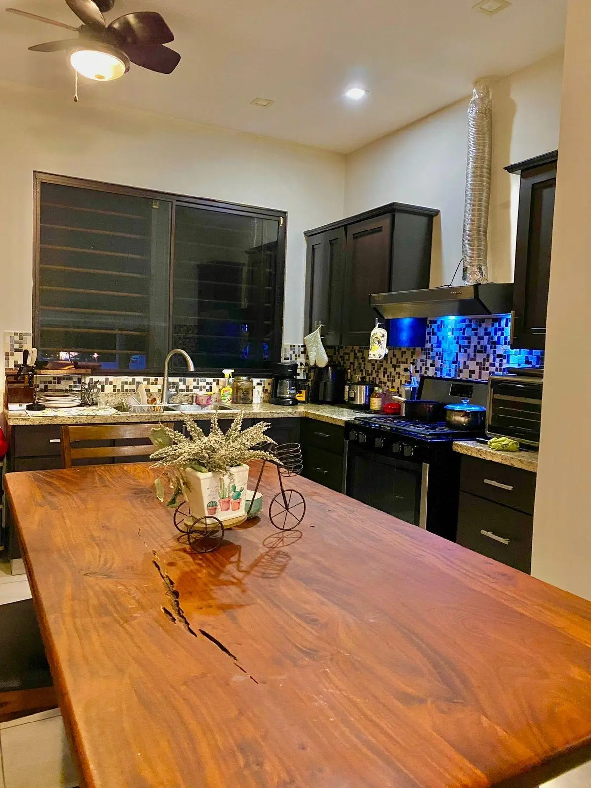 David Chiriqui Panama - Photo 49