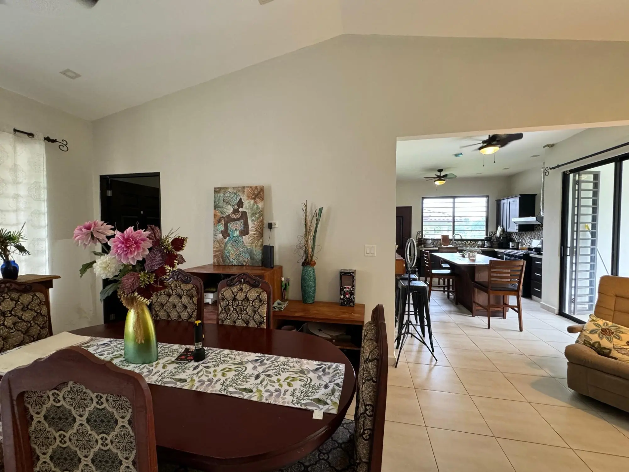 David Chiriqui Panama - Photo 90