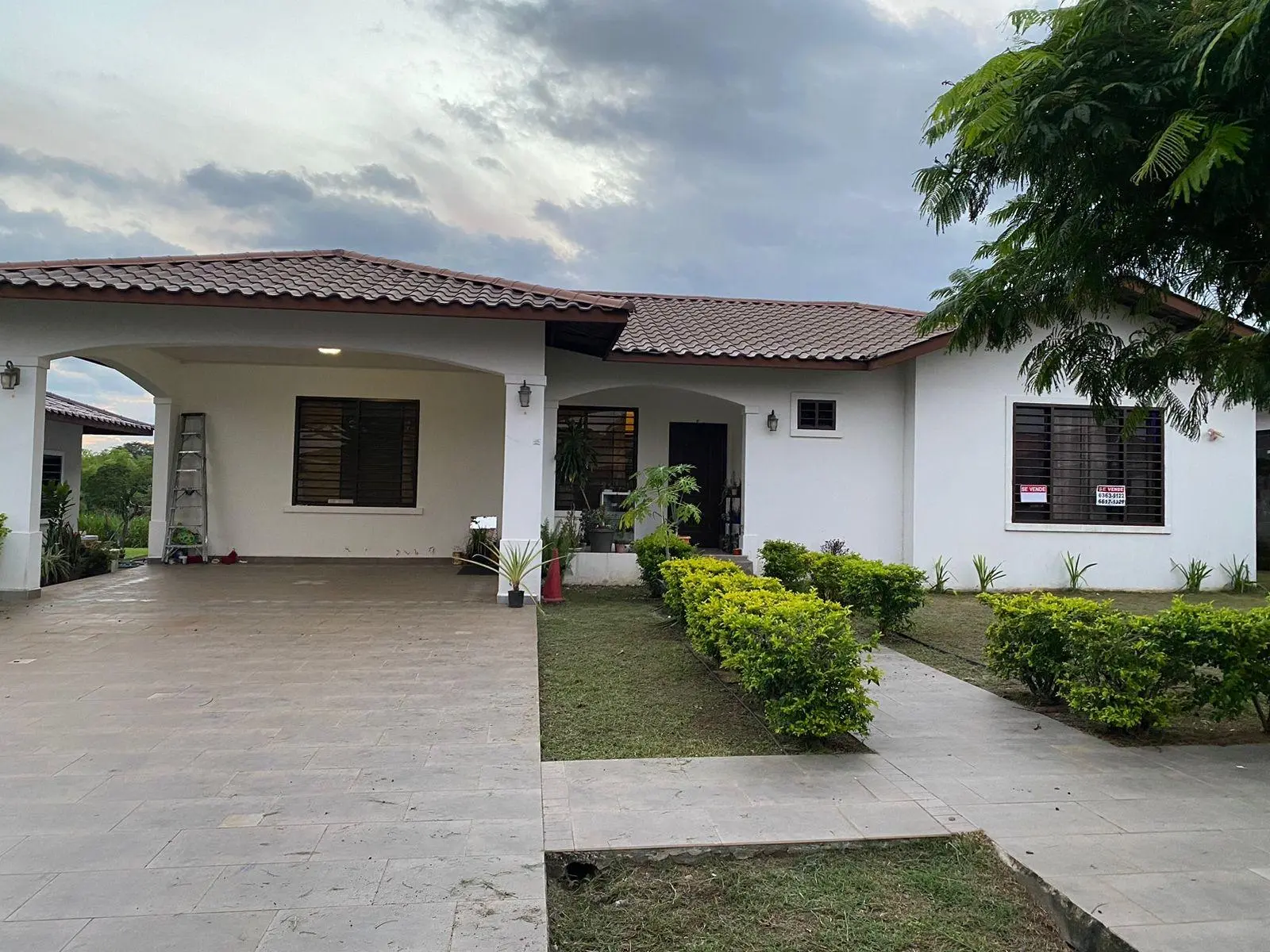 David Chiriqui Panama - Photo 2