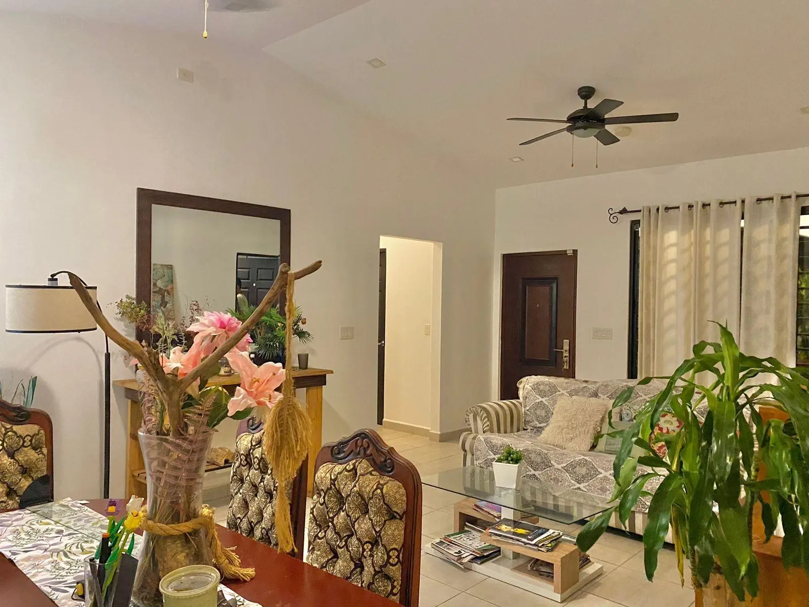 David Chiriqui Panama - Photo 29