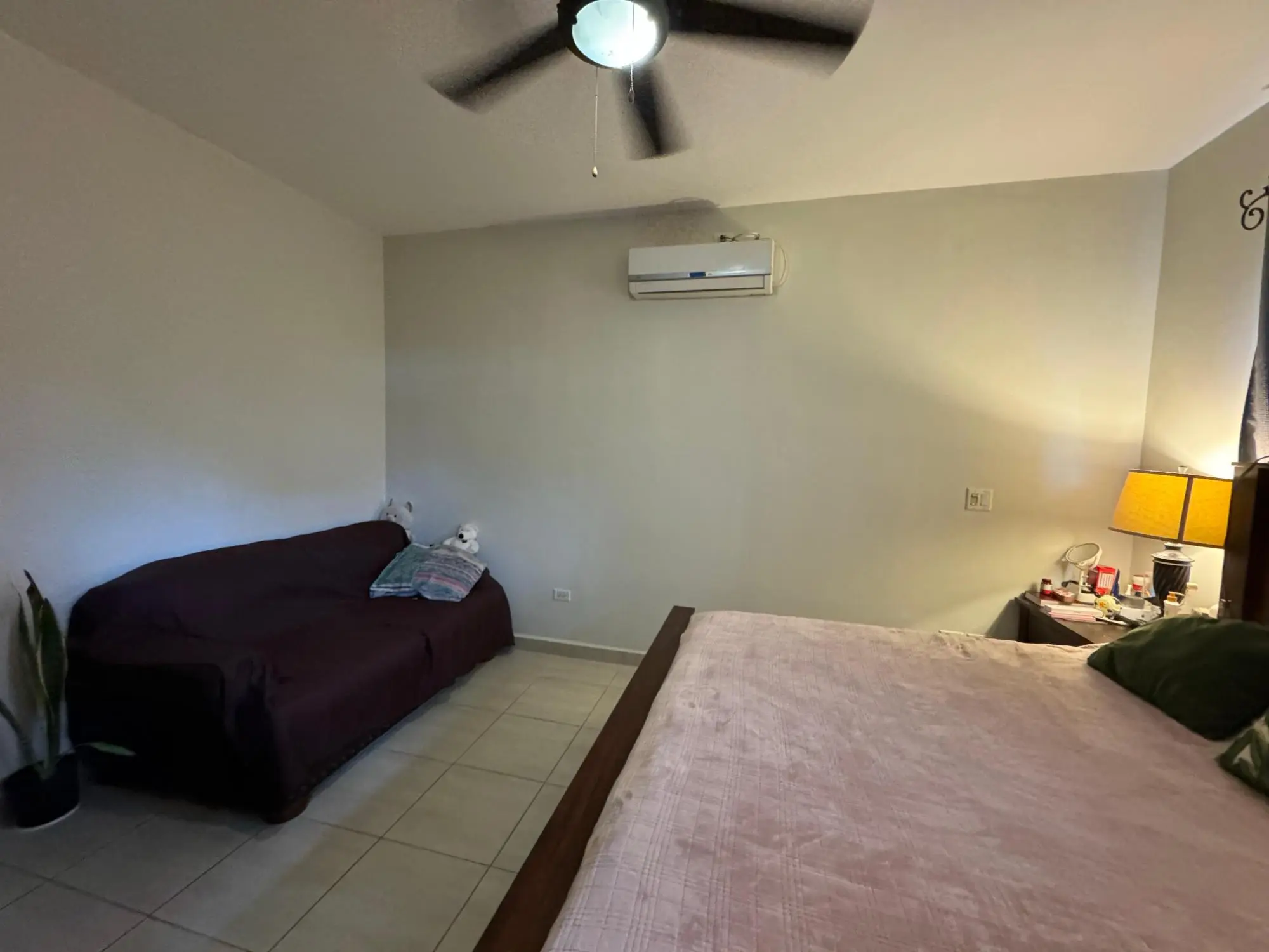 David Chiriqui Panama - Photo 70