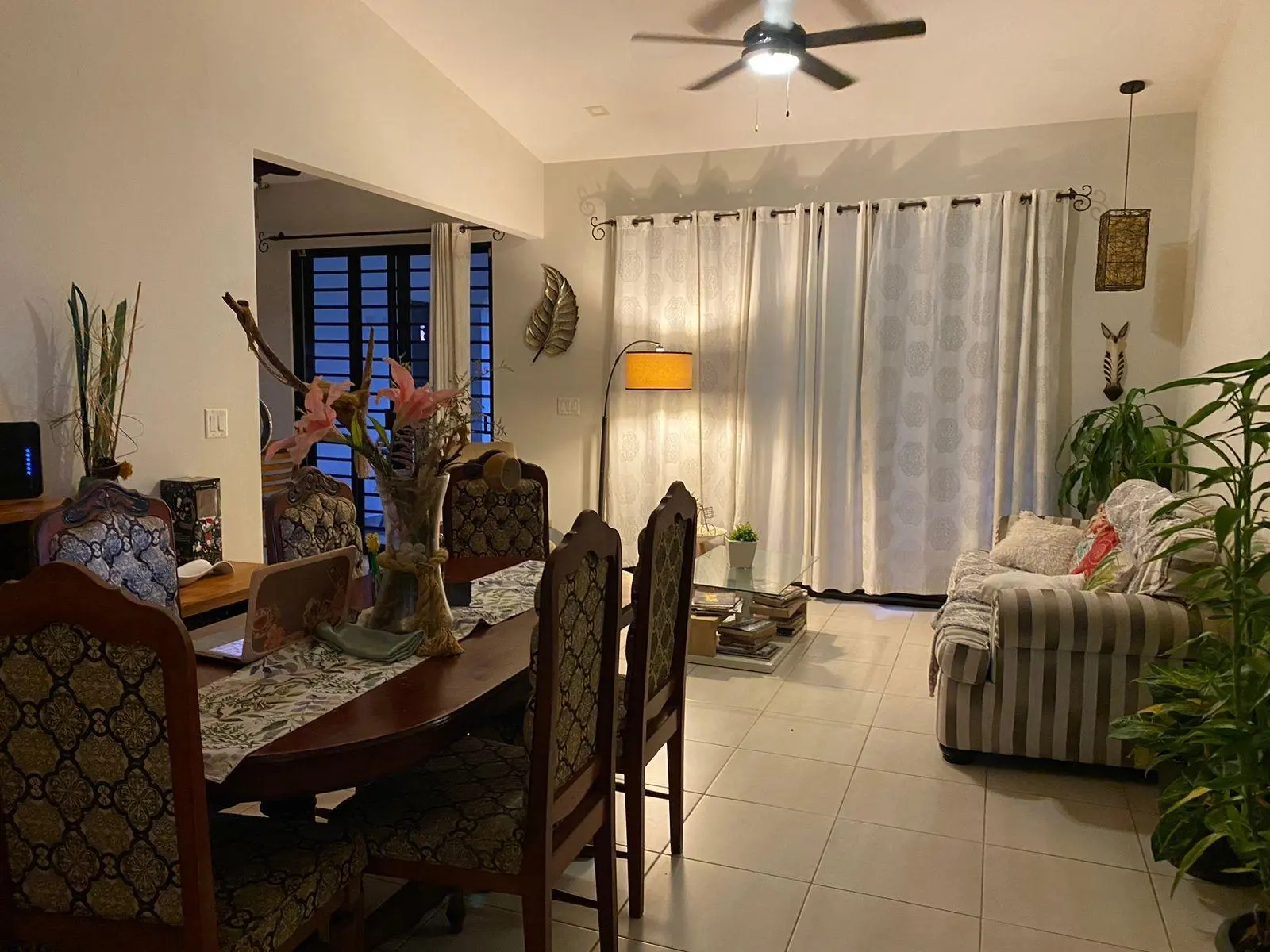 David Chiriqui Panama - Photo 23