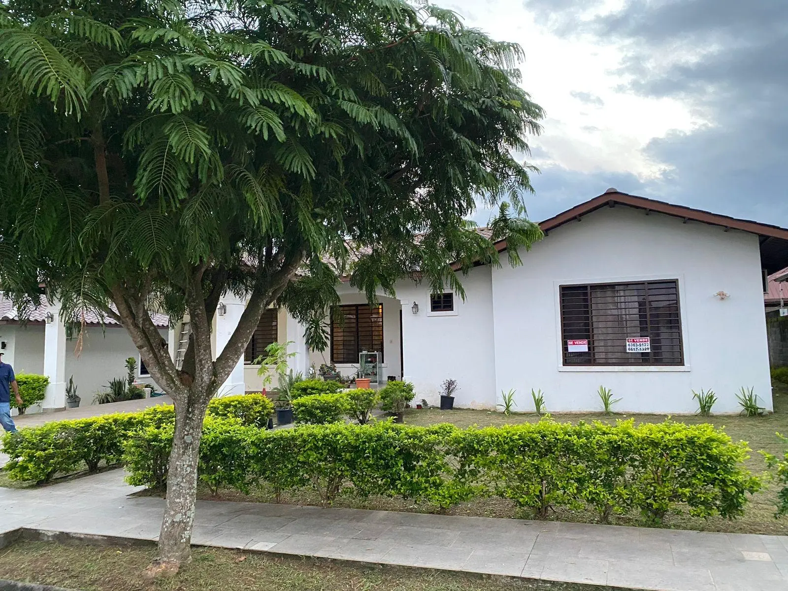 David Chiriqui Panama - Photo 5