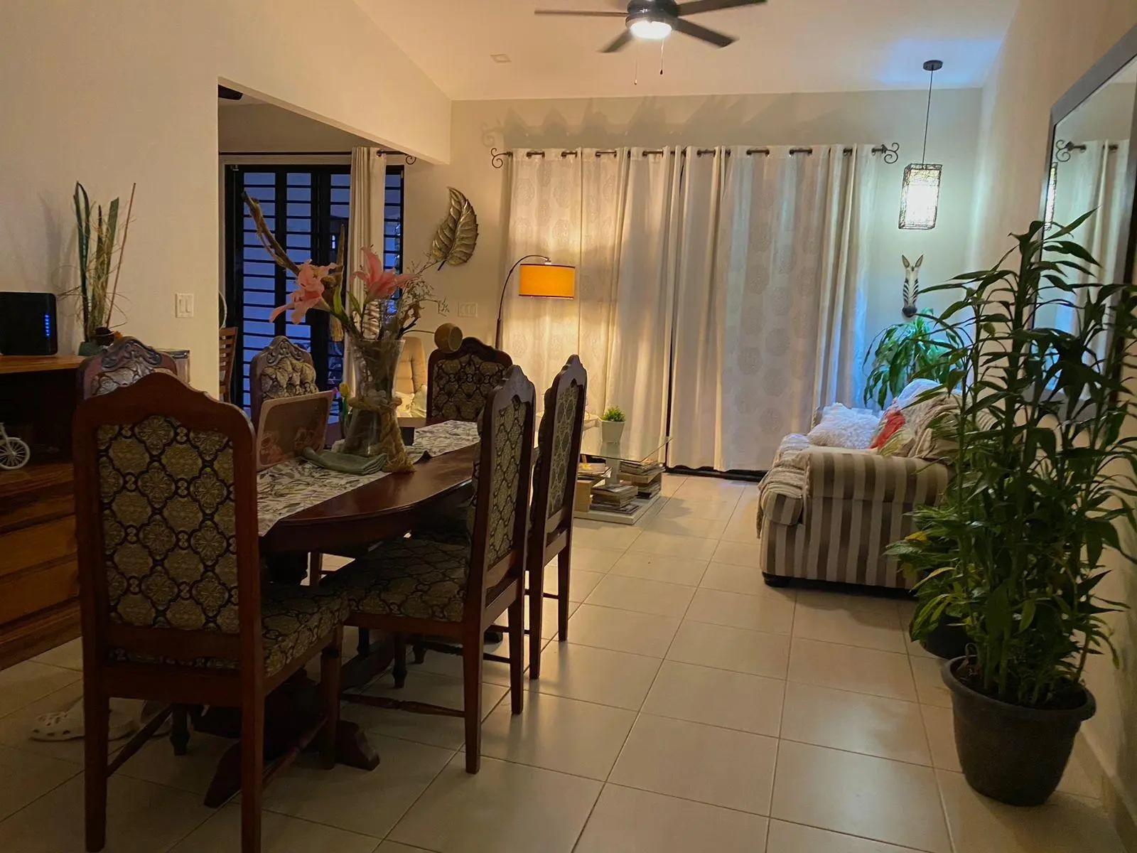 David Chiriqui Panama - Photo 12