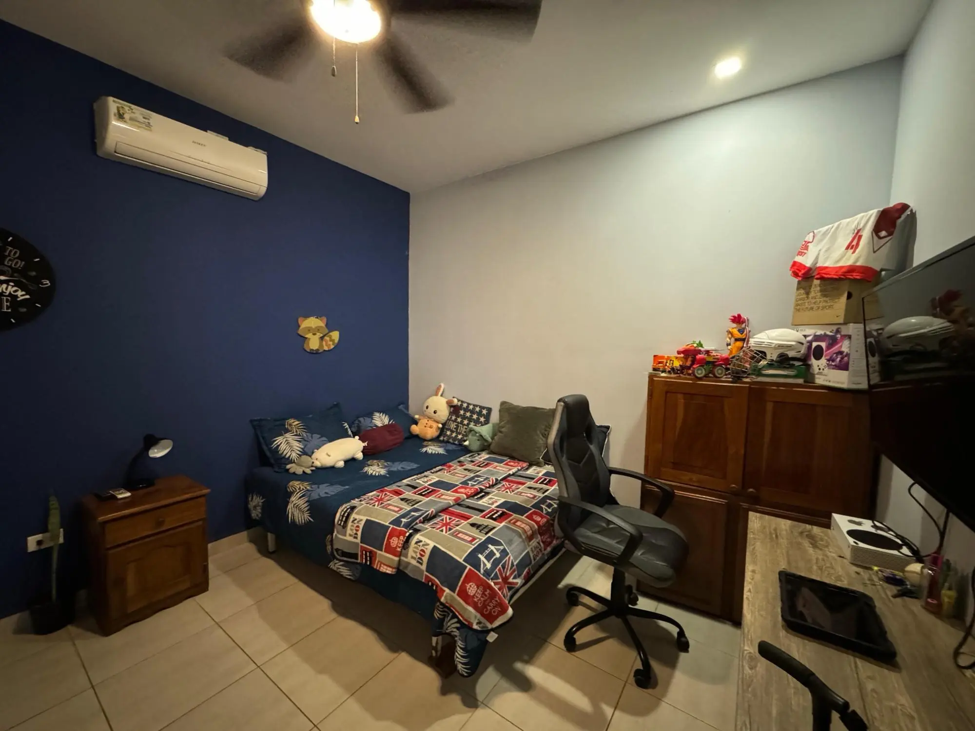 David Chiriqui Panama - Photo 60