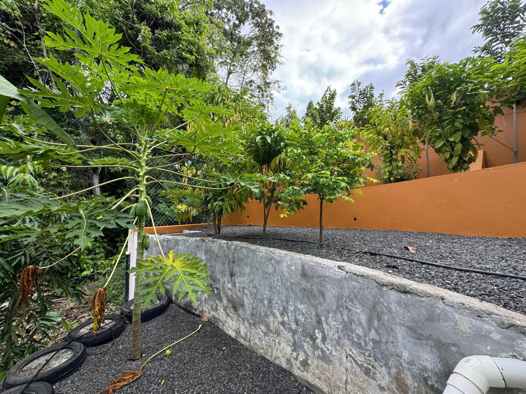 San Carlos Panama - Photo 60