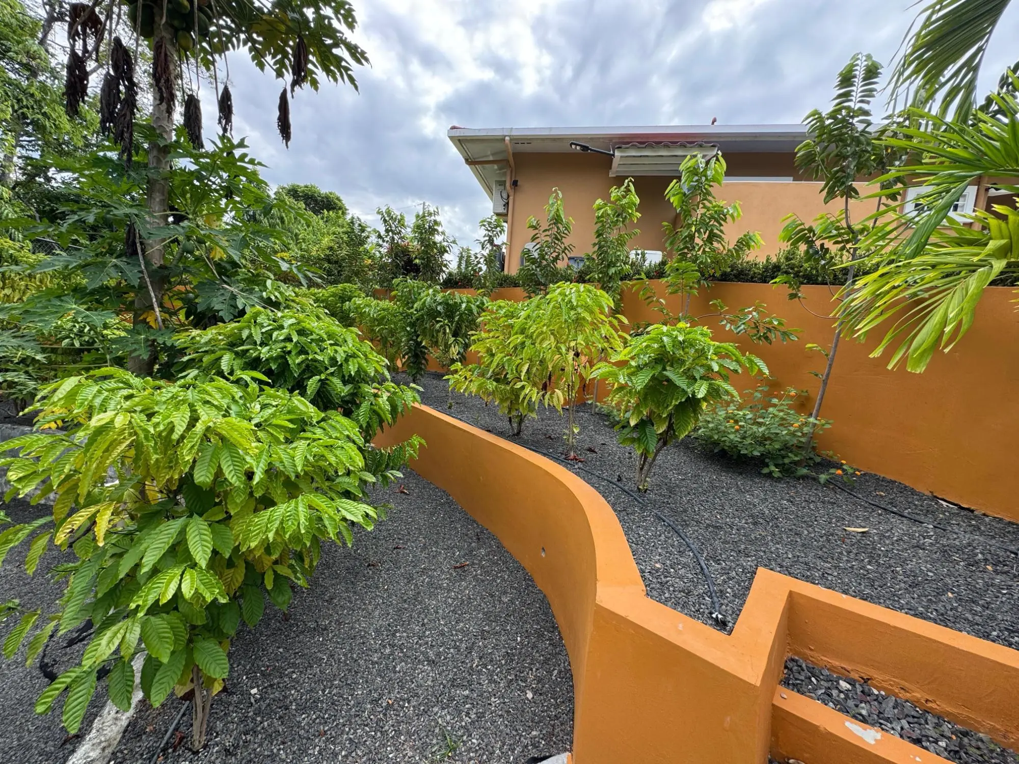 San Carlos Panama - Photo 66