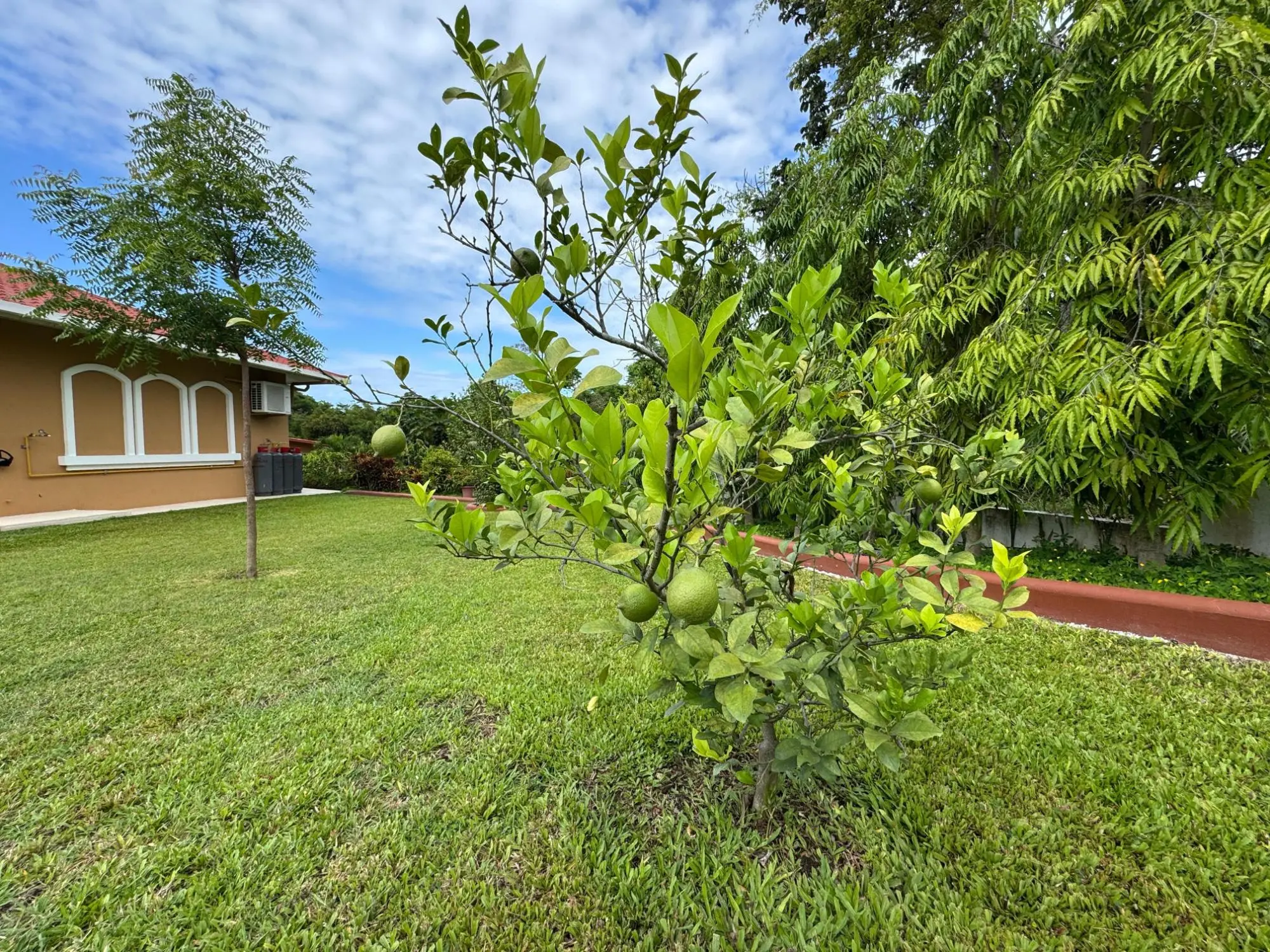 San Carlos Panama - Photo 101