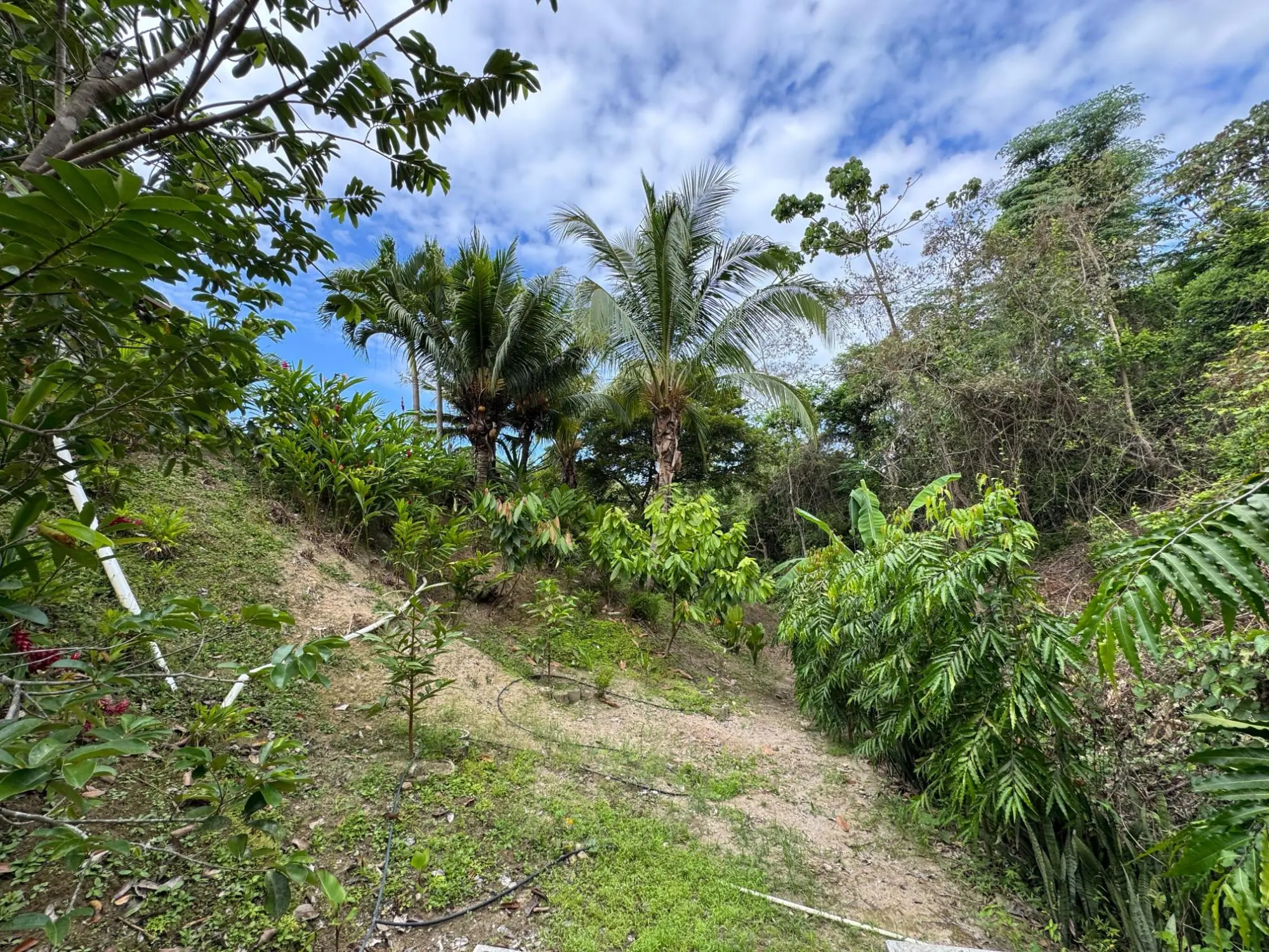 San Carlos Panama - Photo 67