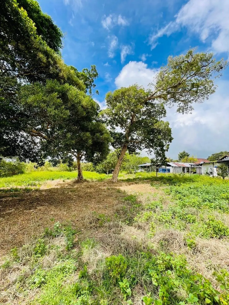 Calle Principal Hacia A Caisan - Photo 4