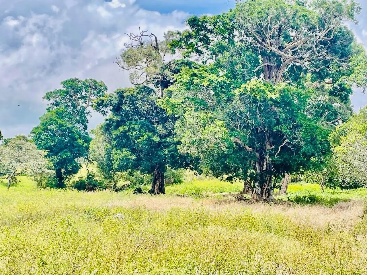 Calle Principal Hacia A Caisan - Photo 7