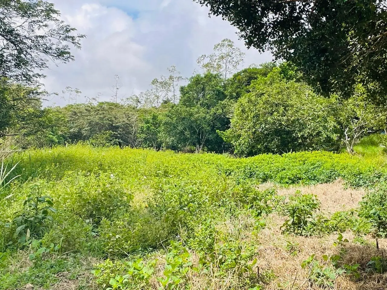 Calle Principal Hacia A Caisan - Photo 9