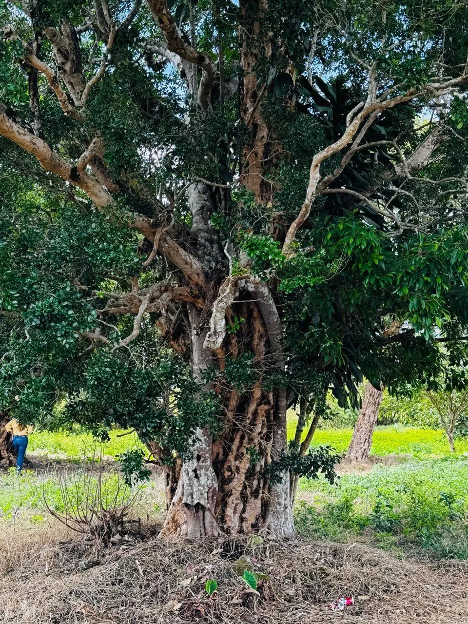 Calle Principal Hacia A Caisan - Photo 11