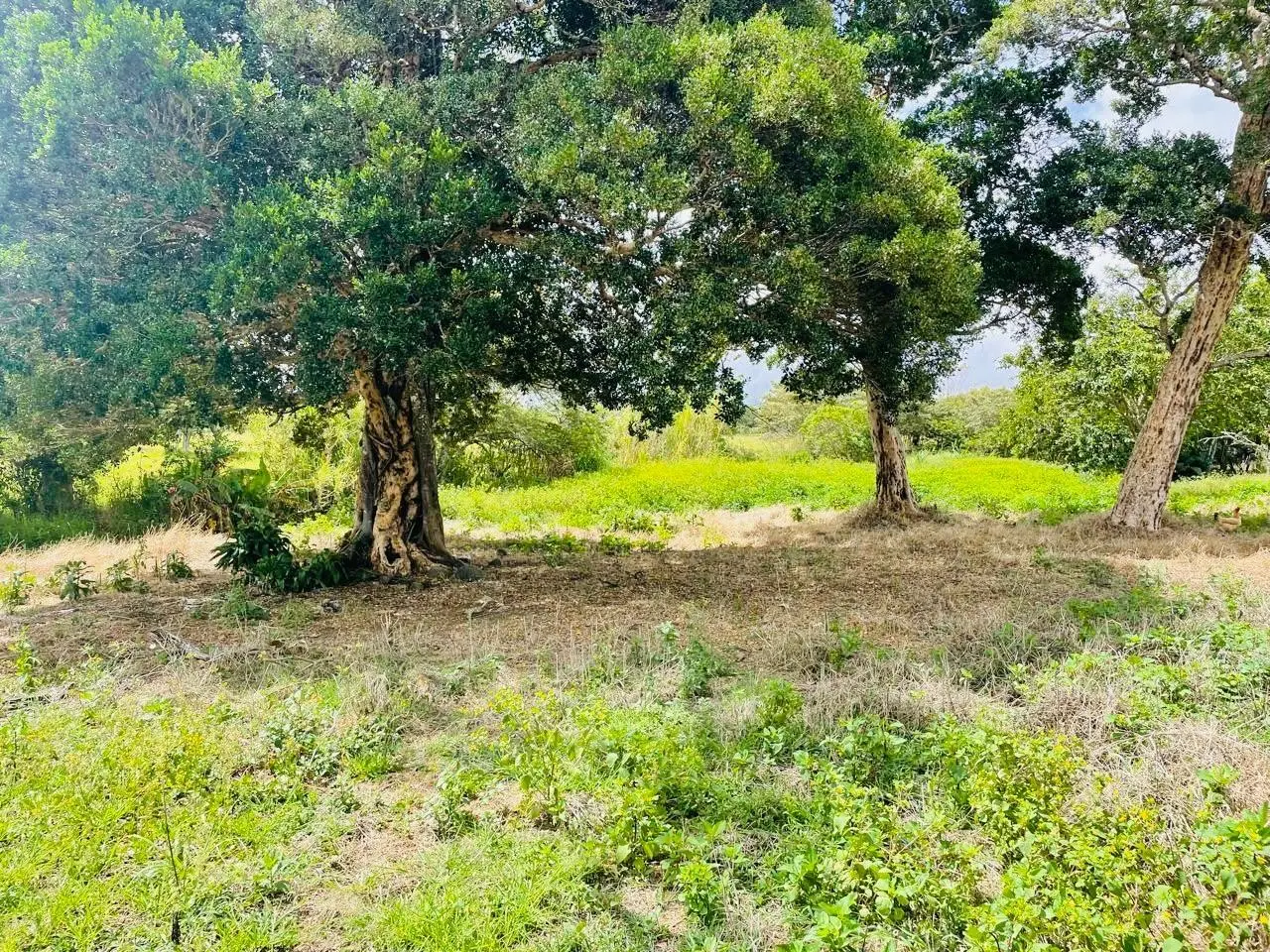 Calle Principal Hacia A Caisan - Photo 8