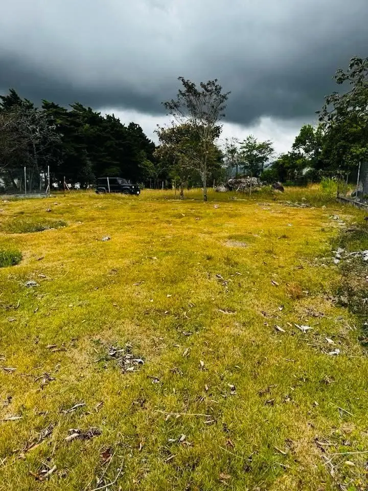 Calle De Anam - Photo 2