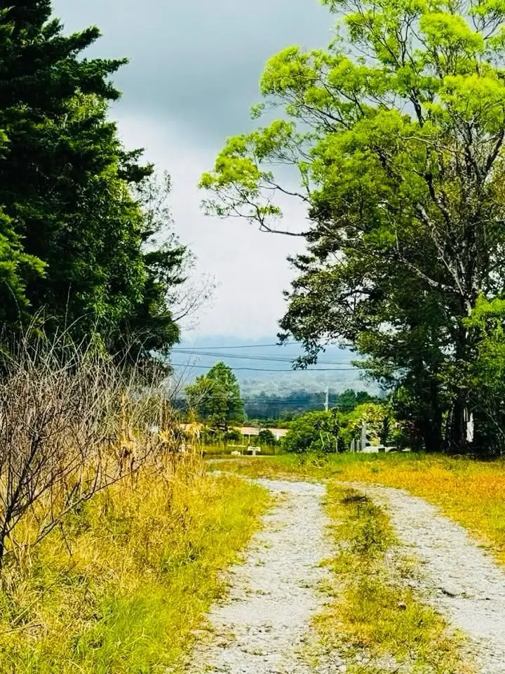 Calle De Anam - Photo 5