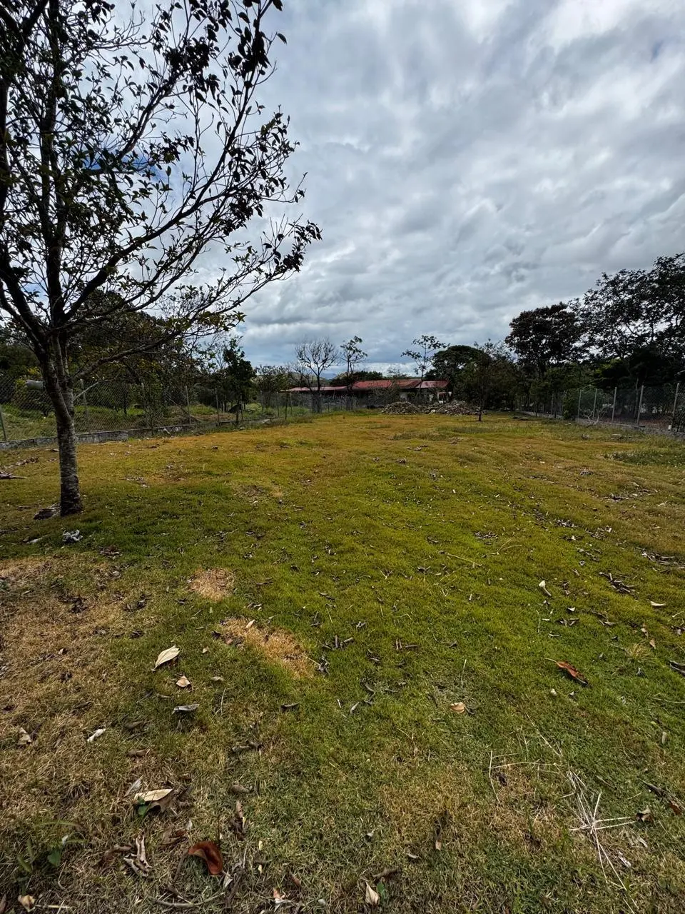 Calle De Anam - Photo 6