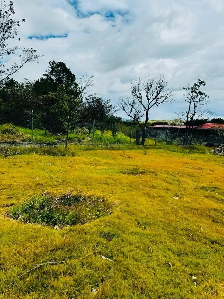 Calle De Anam - Photo 3