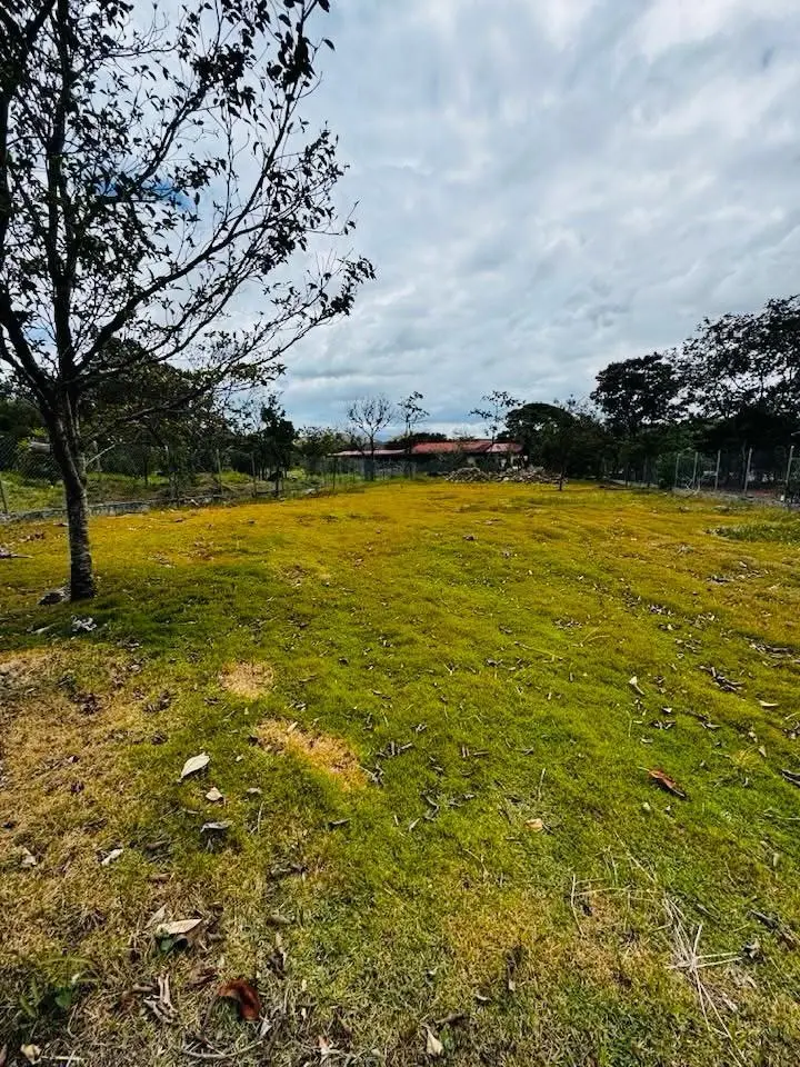 Calle De Anam - Photo 4