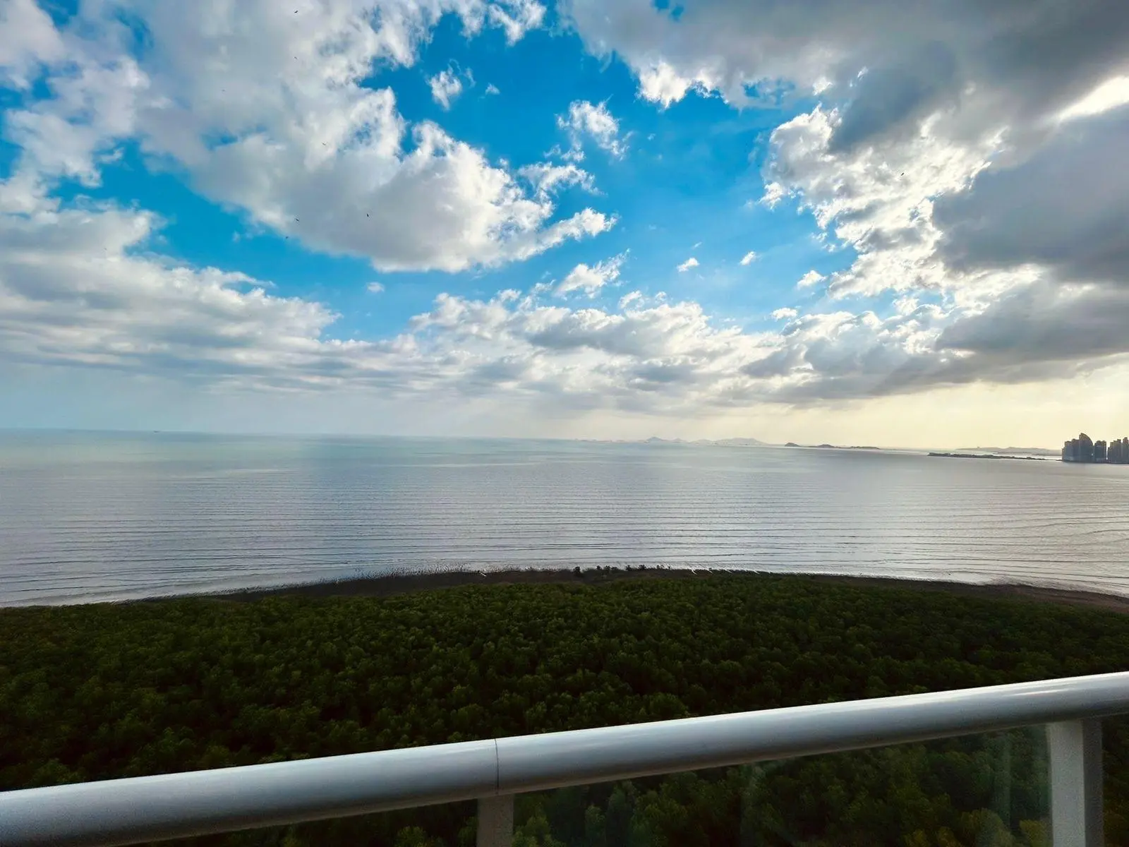 Avenida Paseo Del Mar #36a - Photo 29