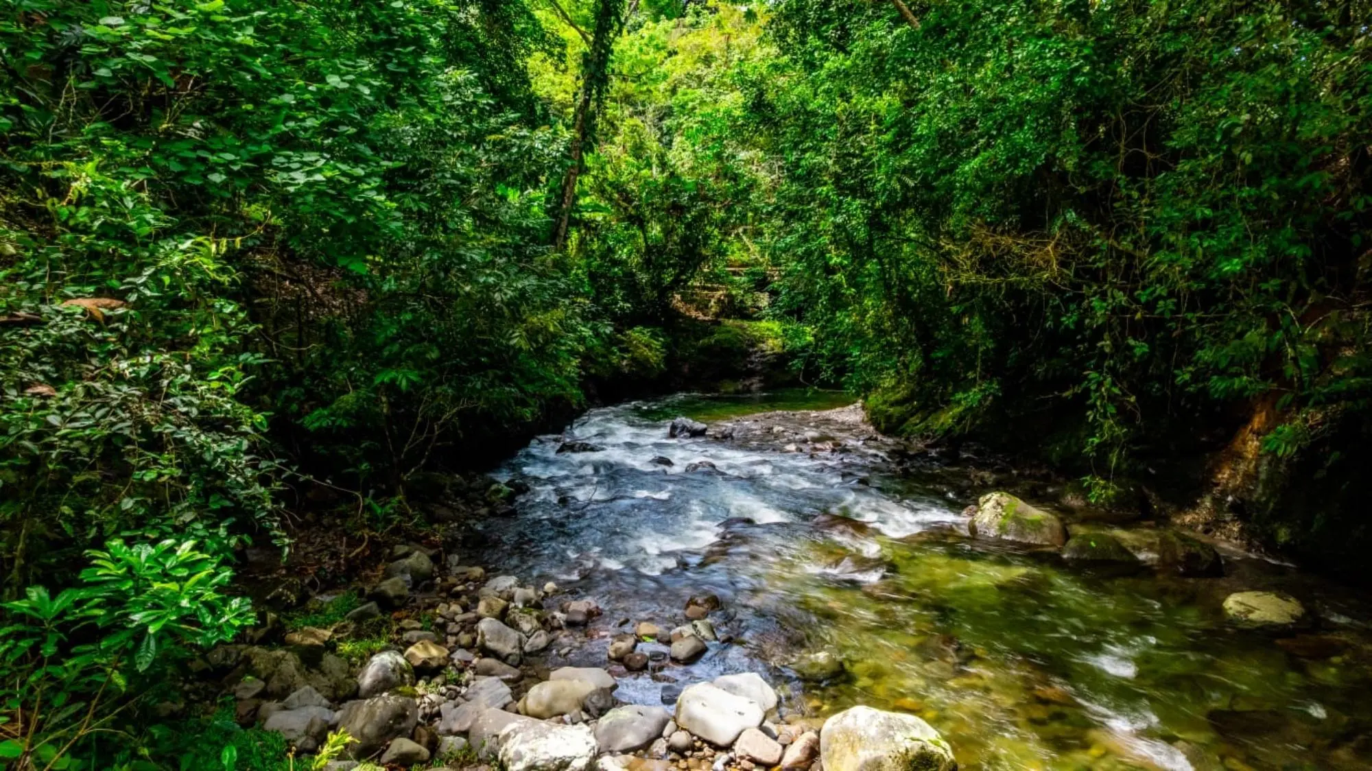 0 Chiriquí, Bugaba, Santa Rosa, El Santo - Photo 19