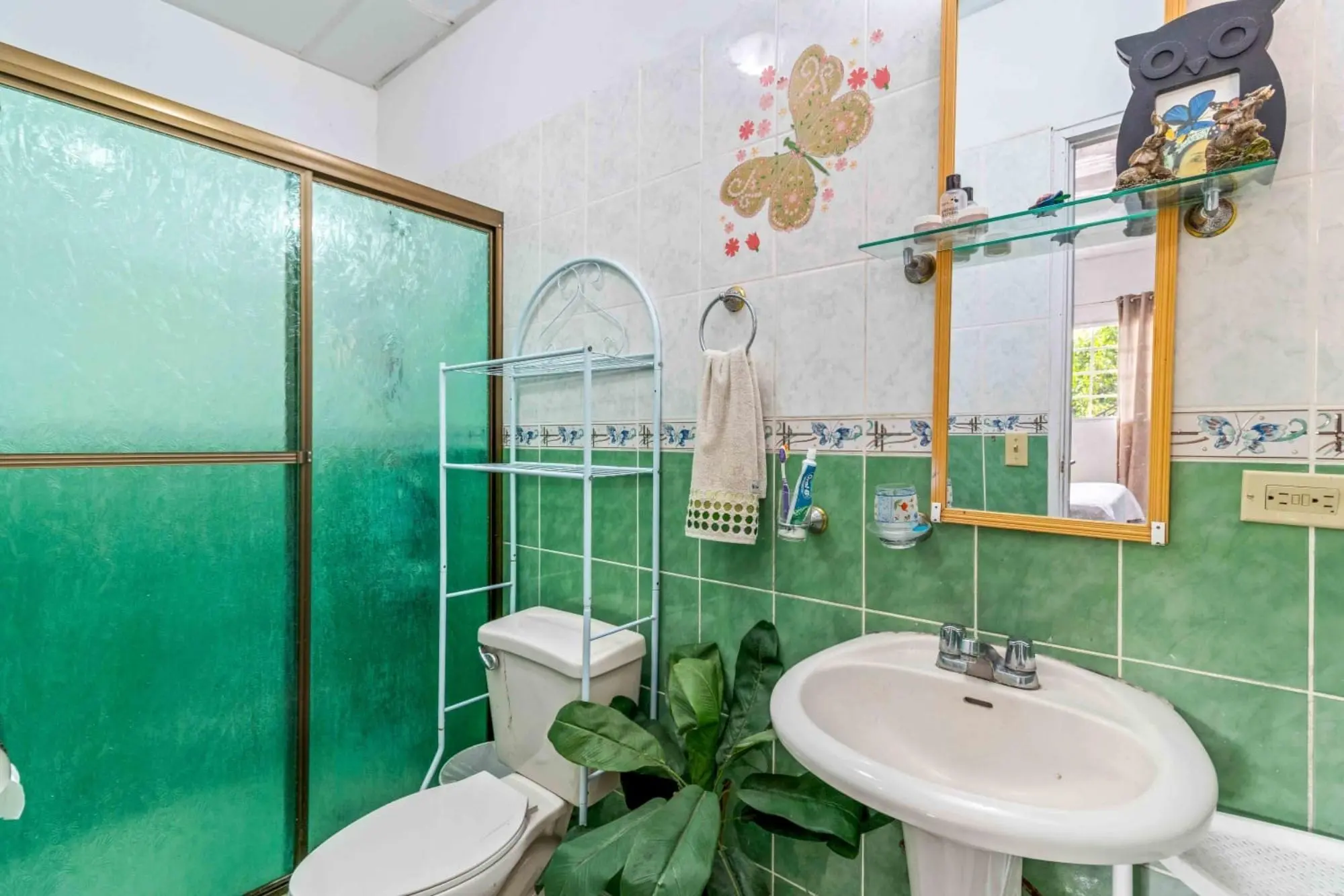 0 Chiriquí, Bugaba, Santa Rosa, El Santo - Photo 20