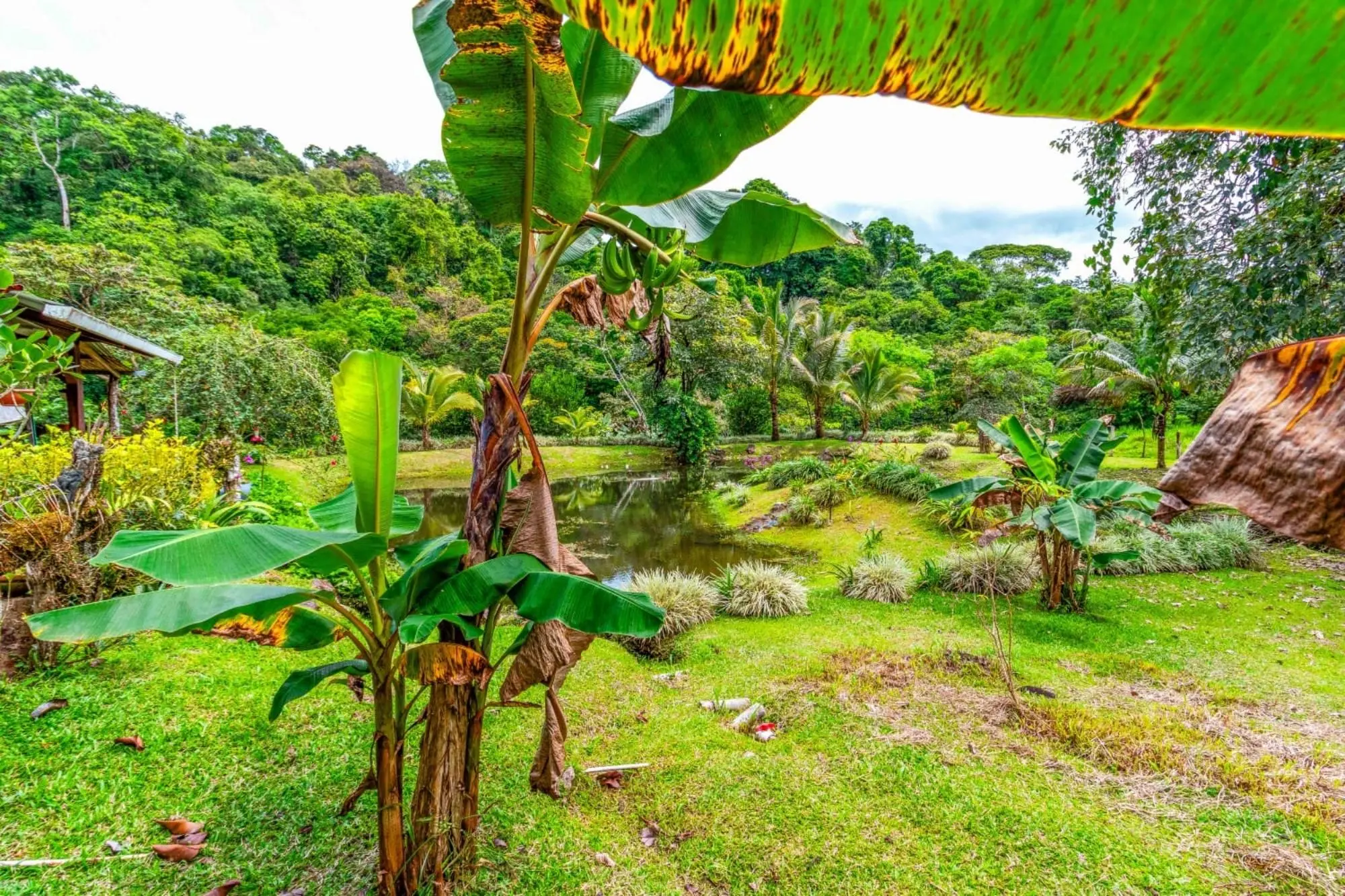 0 Chiriquí, Bugaba, Santa Rosa, El Santo - Photo 23