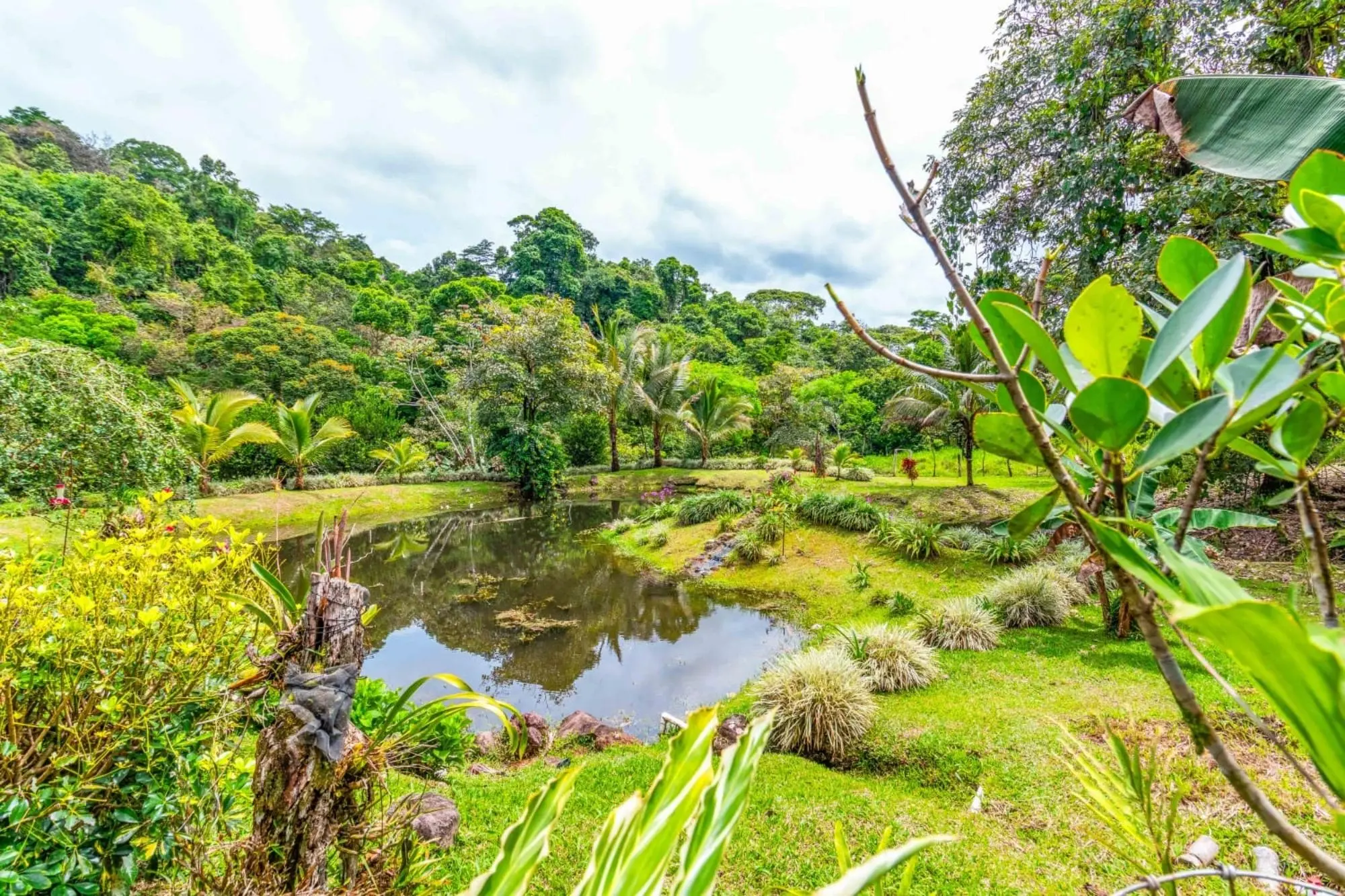0 Chiriquí, Bugaba, Santa Rosa, El Santo - Photo 16