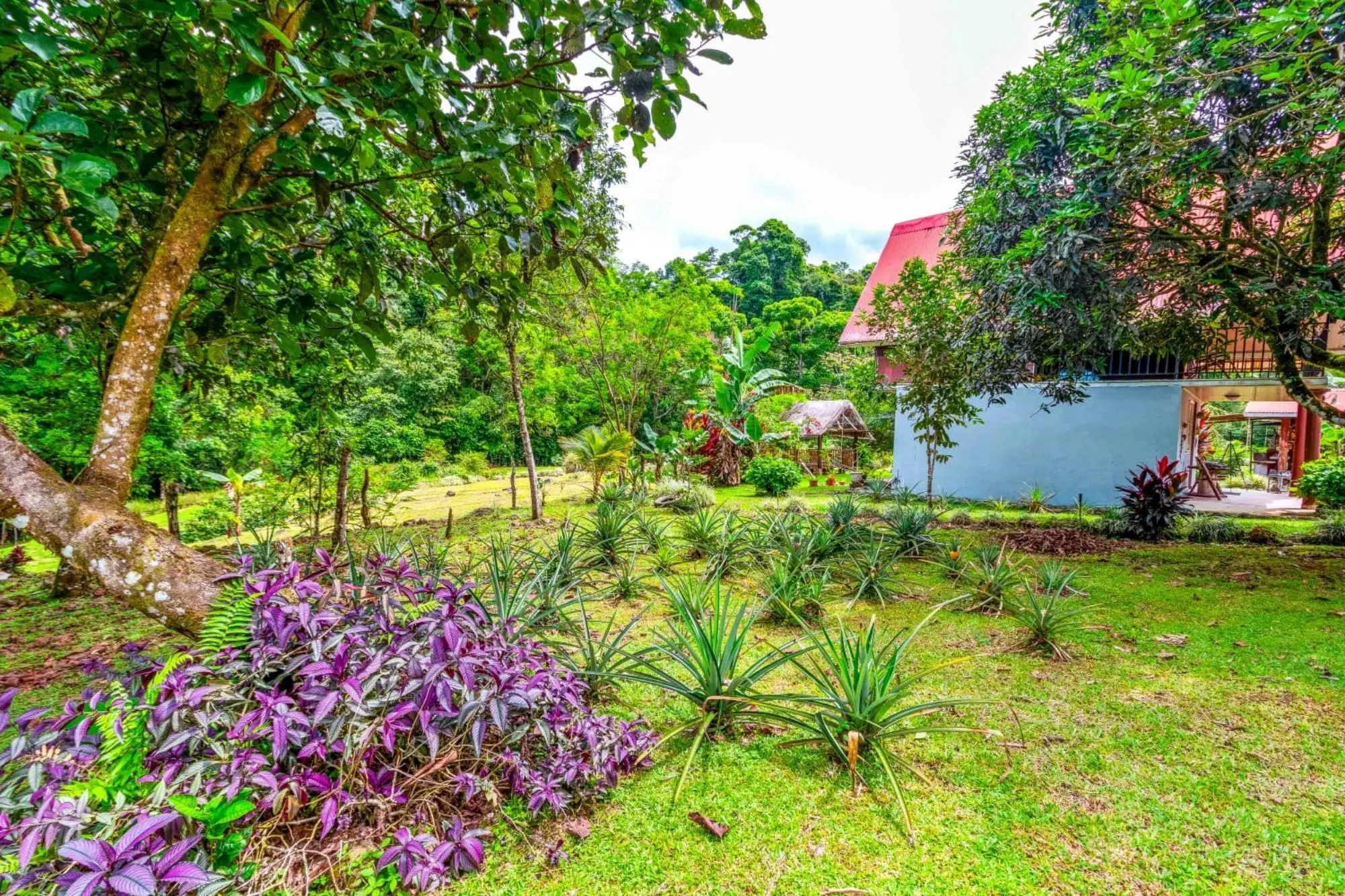 0 Chiriquí, Bugaba, Santa Rosa, El Santo - Photo 26