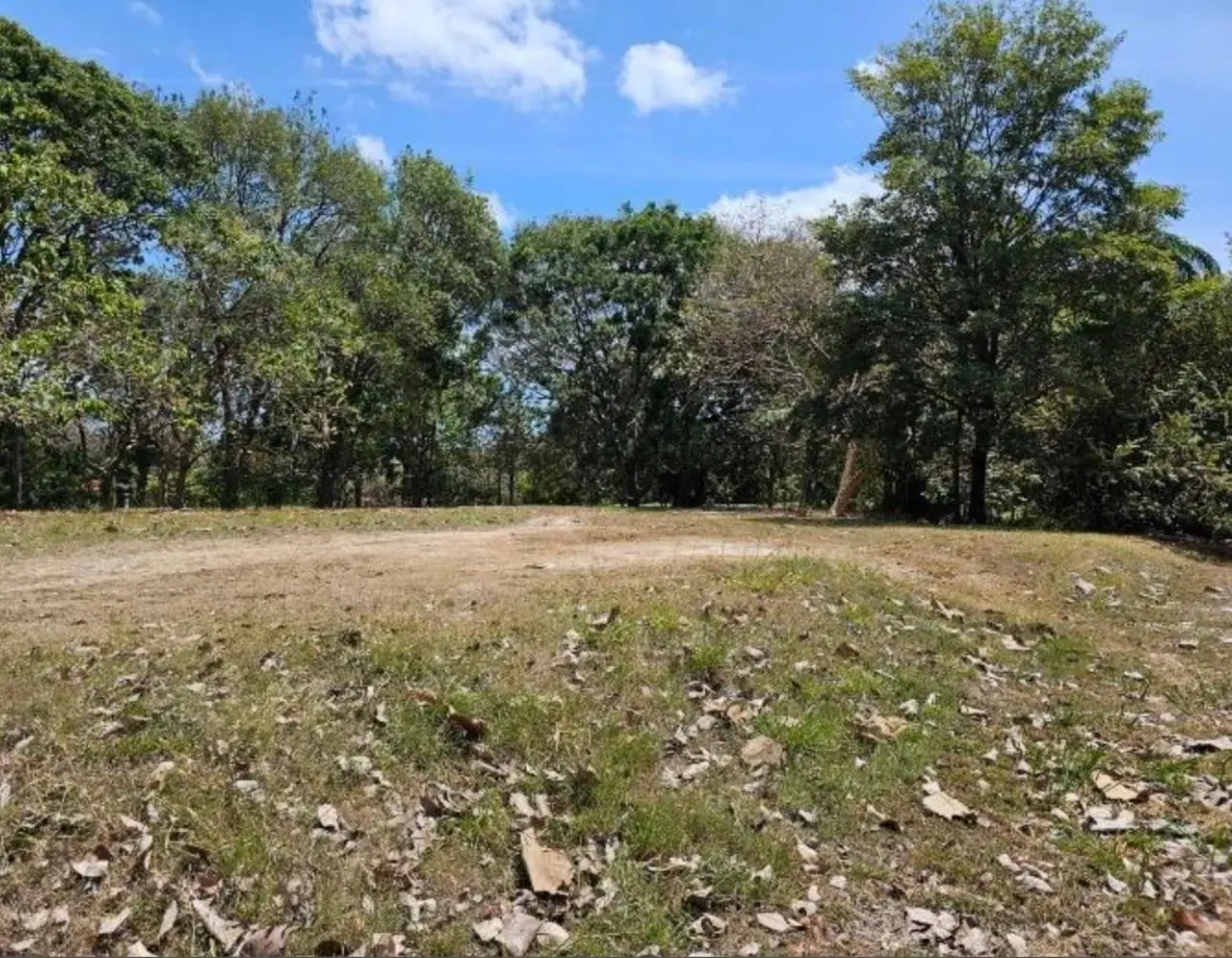 Coronado, Paseo Del Galeon - Photo 4