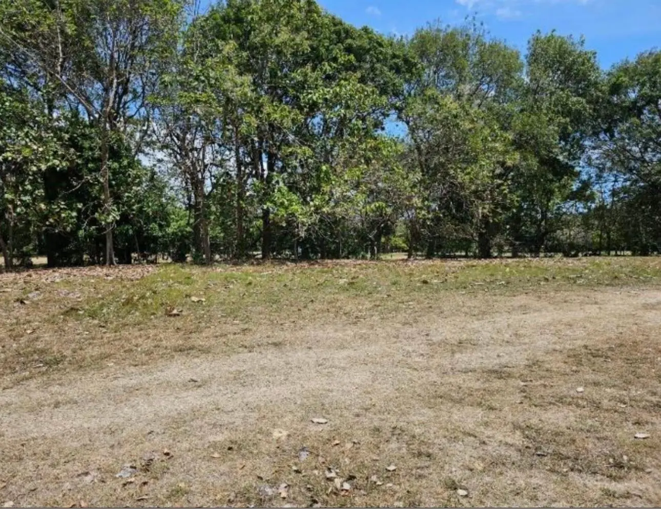 Coronado, Paseo Del Galeon - Photo 3